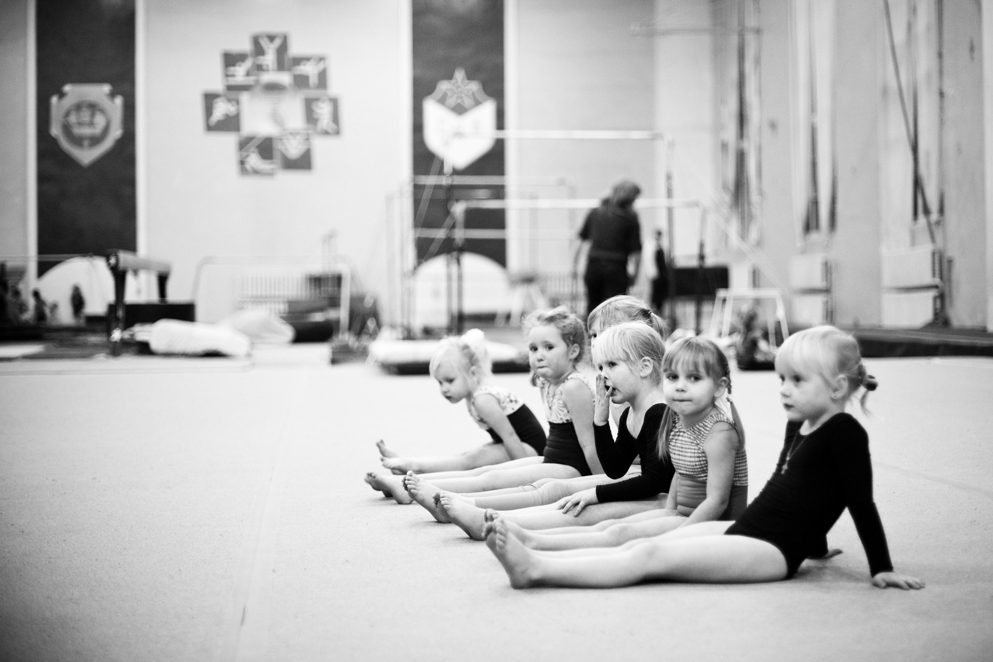 Спортивная гимнастика