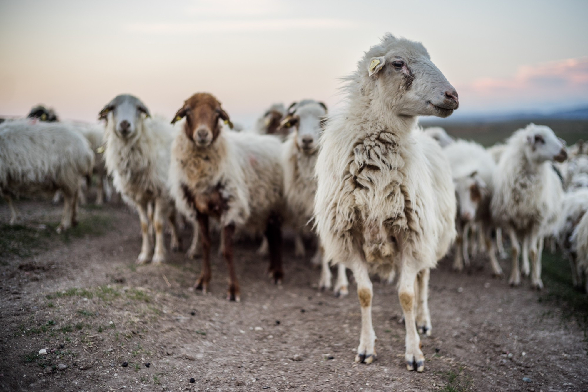 Фототур в Грузию, апрель 2017 и 2018