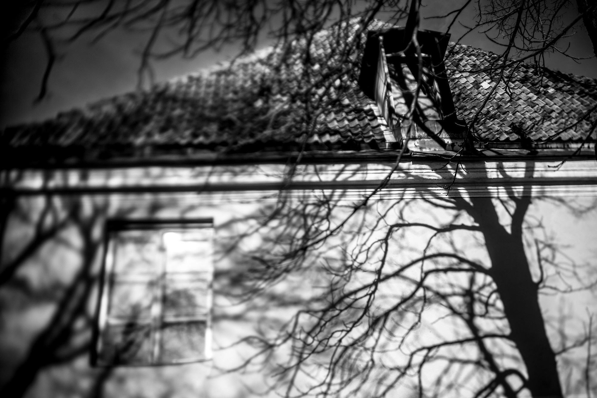 Liin and Matt, Таллин, Эстония