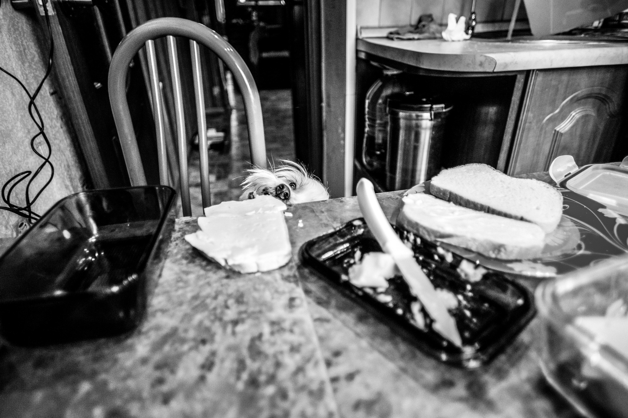 Один день. Даня. 6 лет