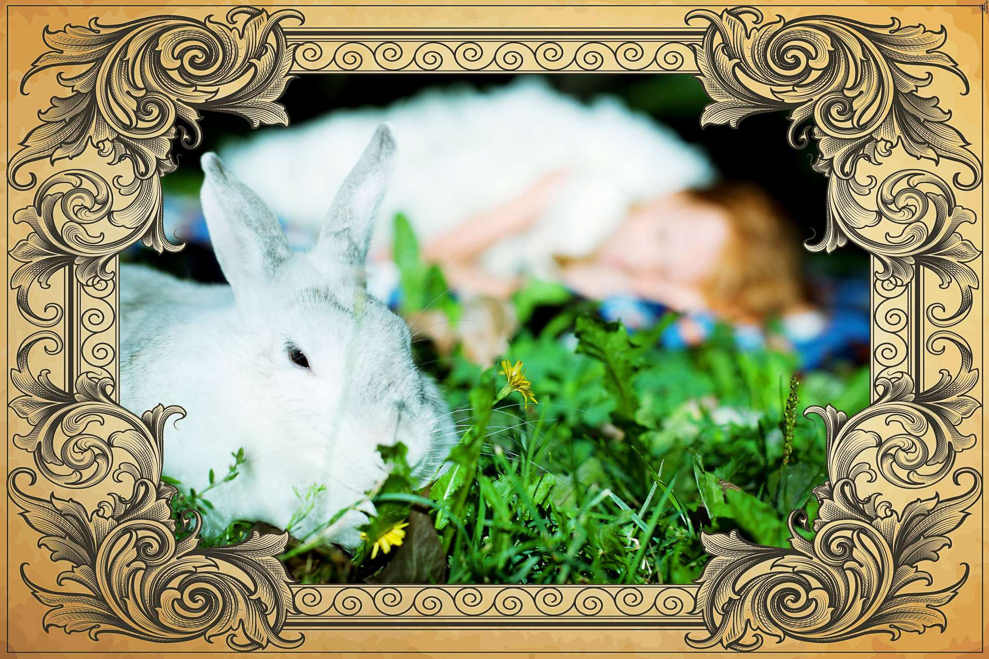 Алиса в Стране Чудес