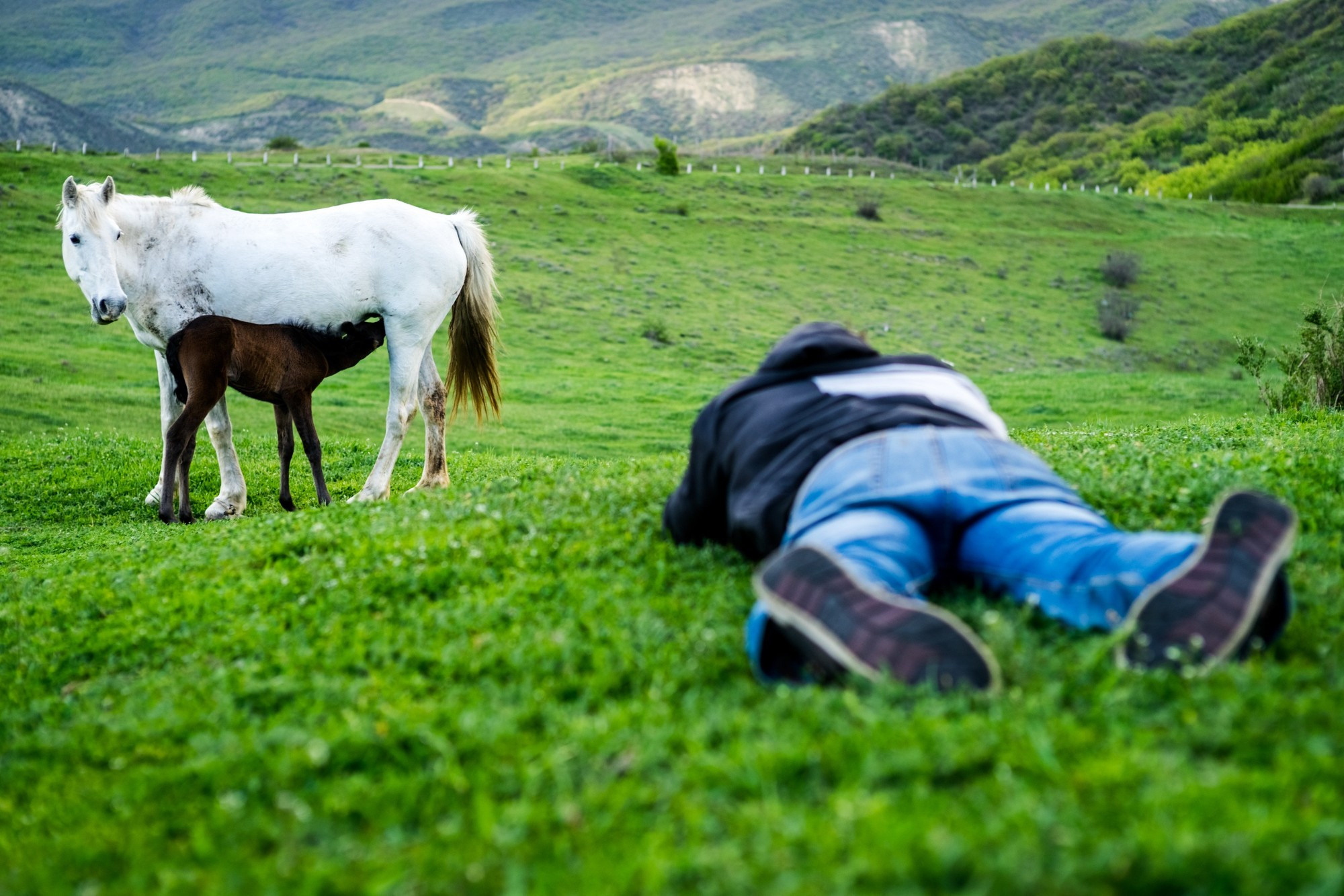 Фототур в Грузию, апрель 2017 и 2018