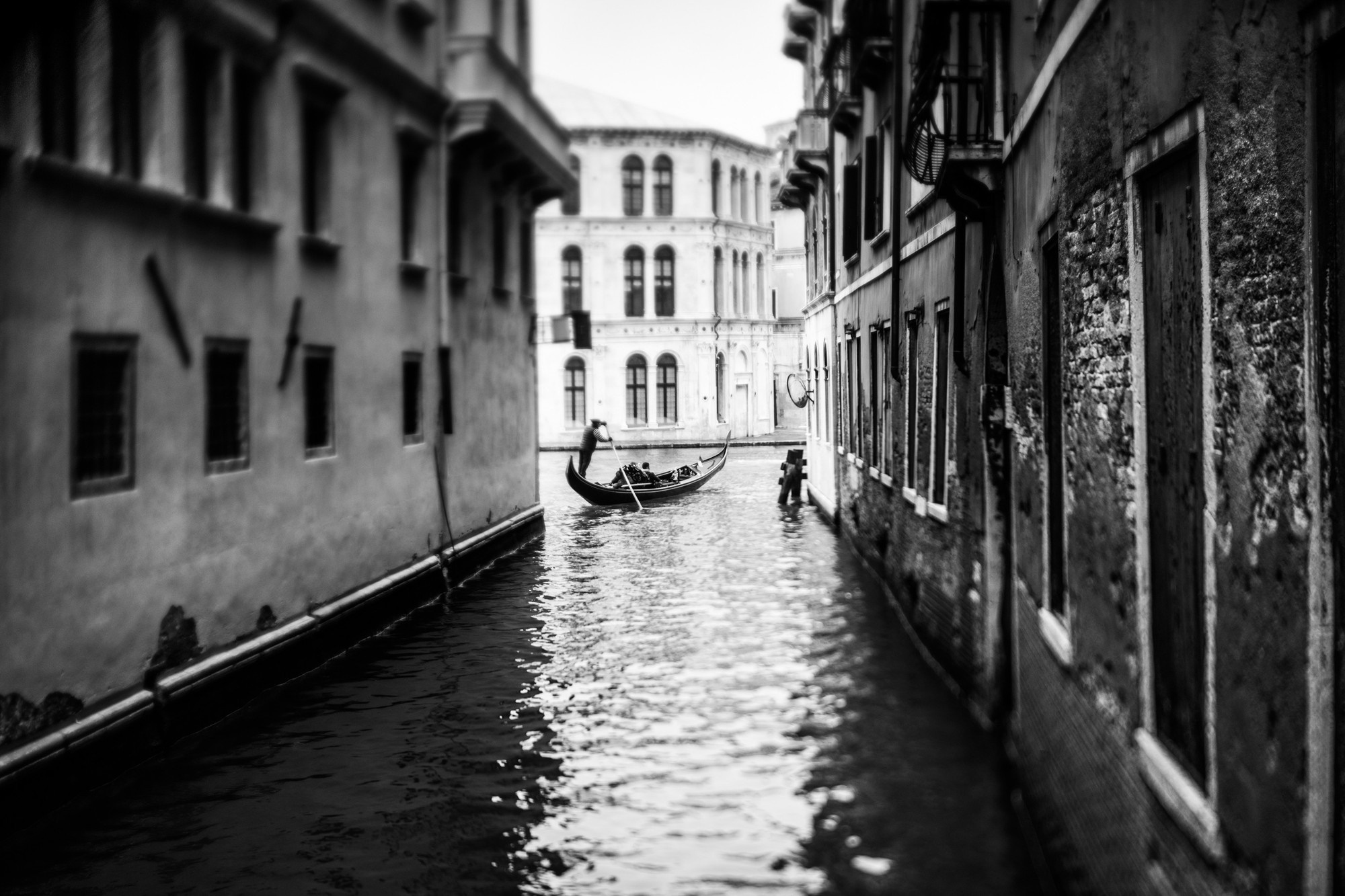 Patrick and Melissa, Венеция, Италия