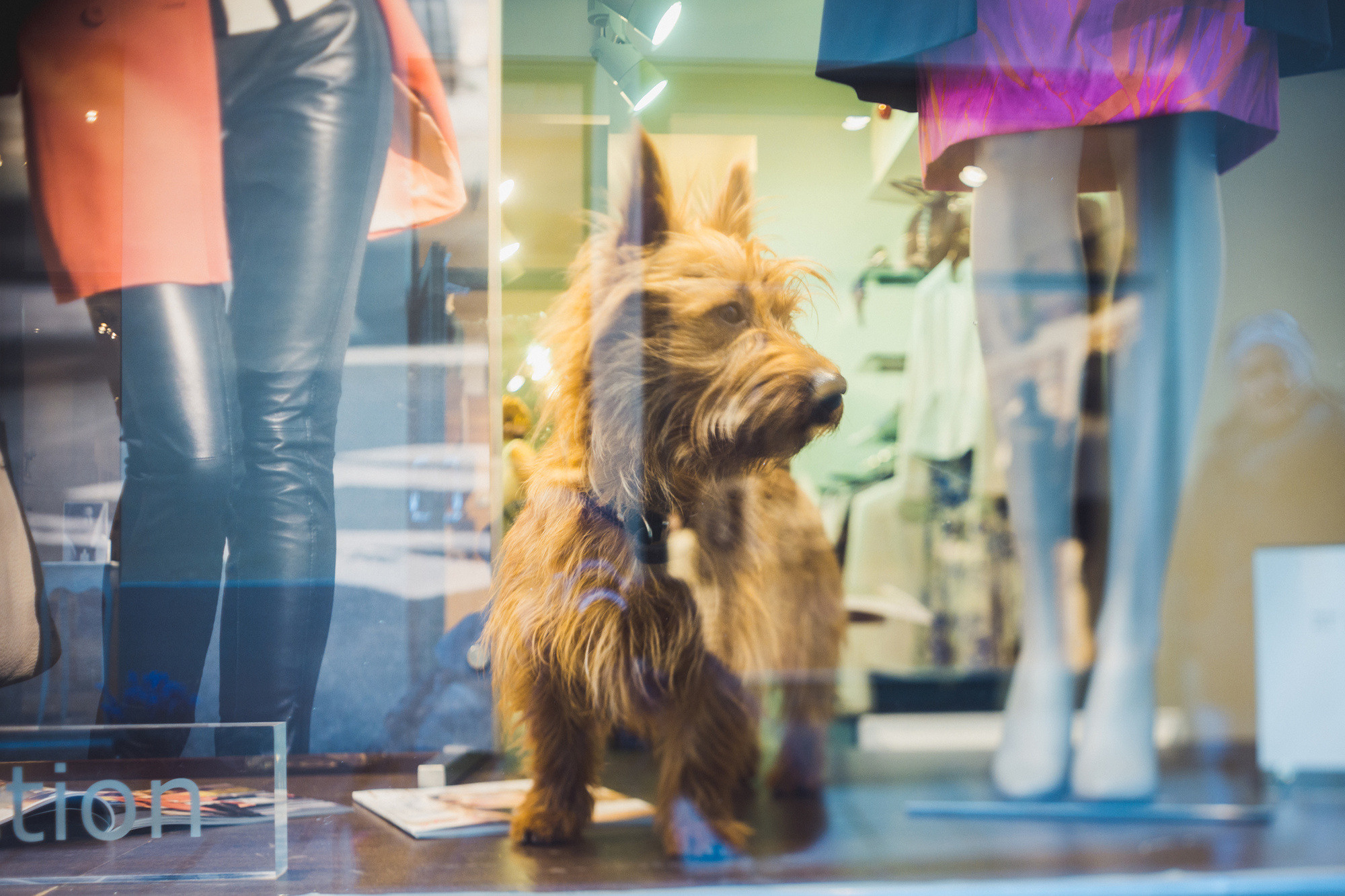 Liin and Matt, Таллин, Эстония