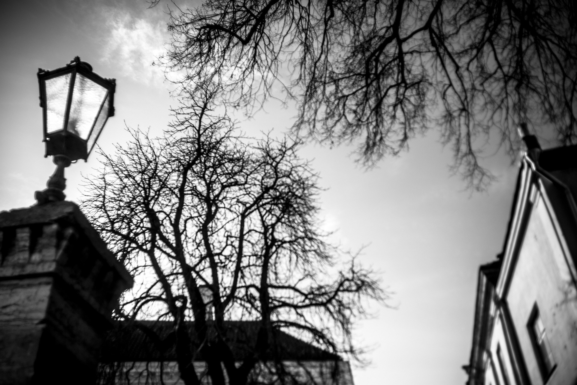 Liin and Matt, Таллин, Эстония