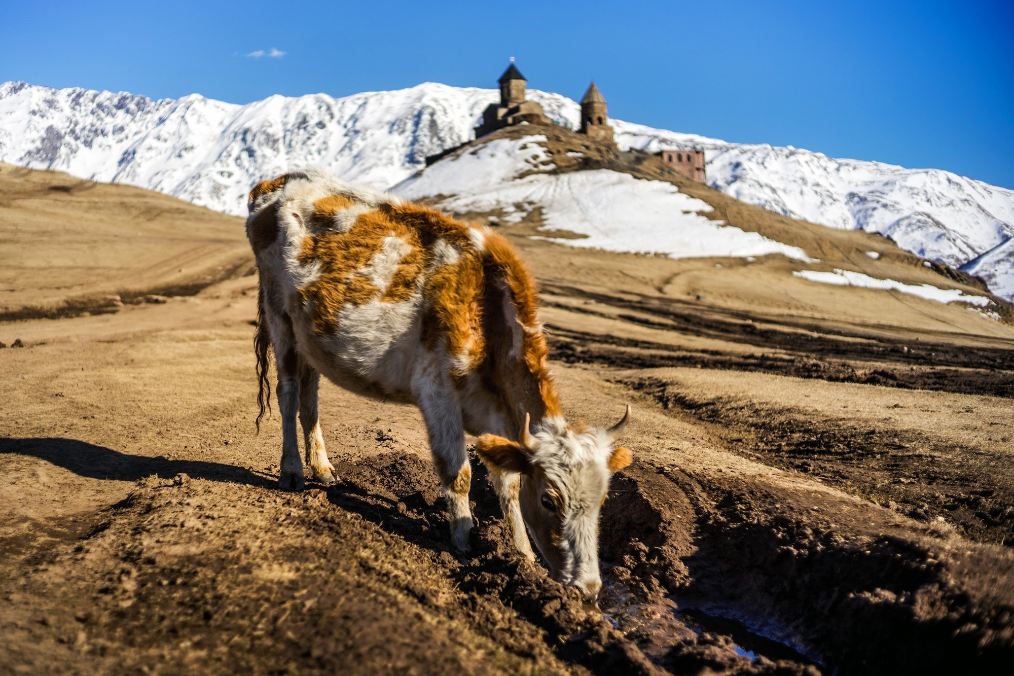 Фототур в Грузию, апрель 2017 и 2018