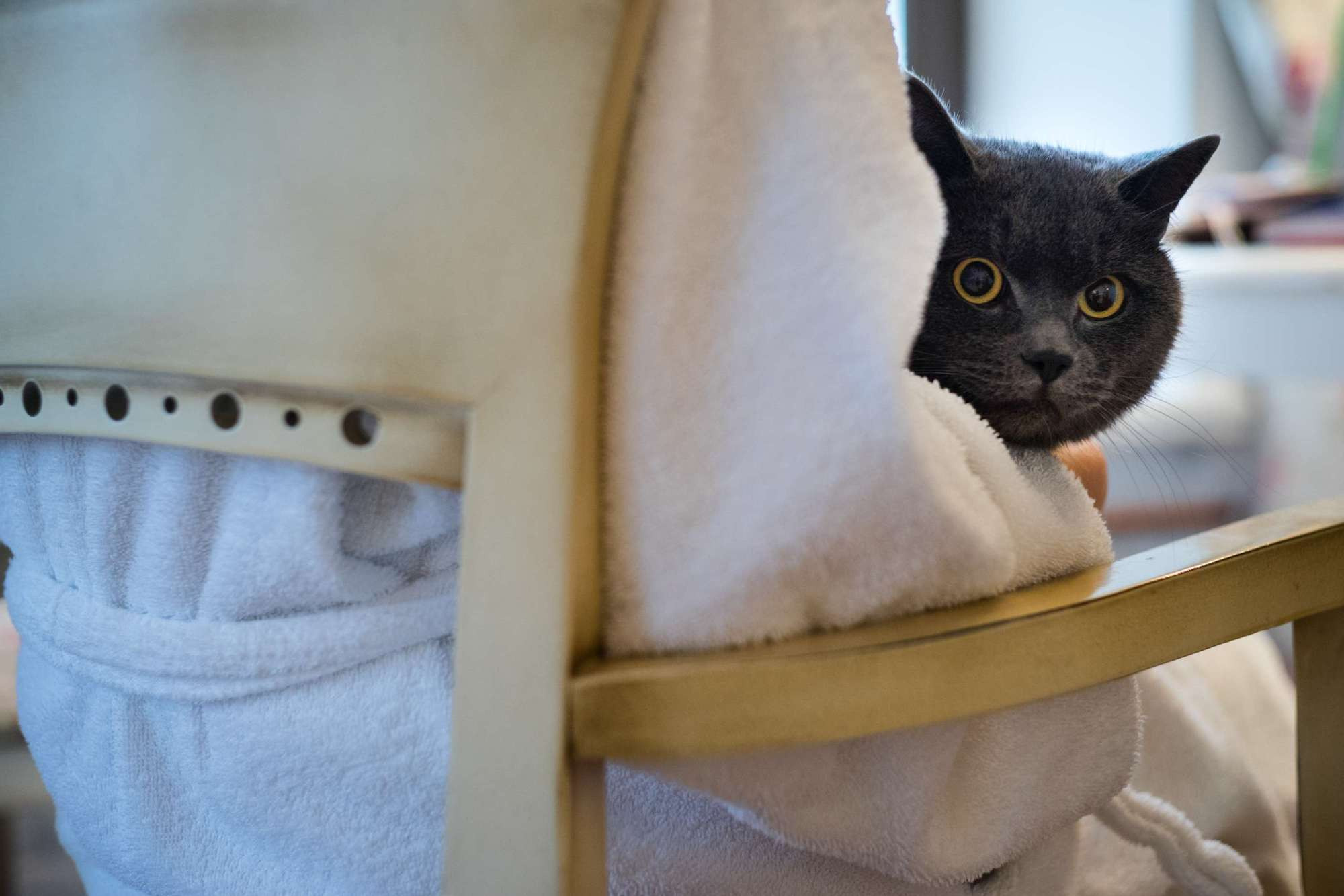 Марат и Нина, Санкт-Петербург, Россия