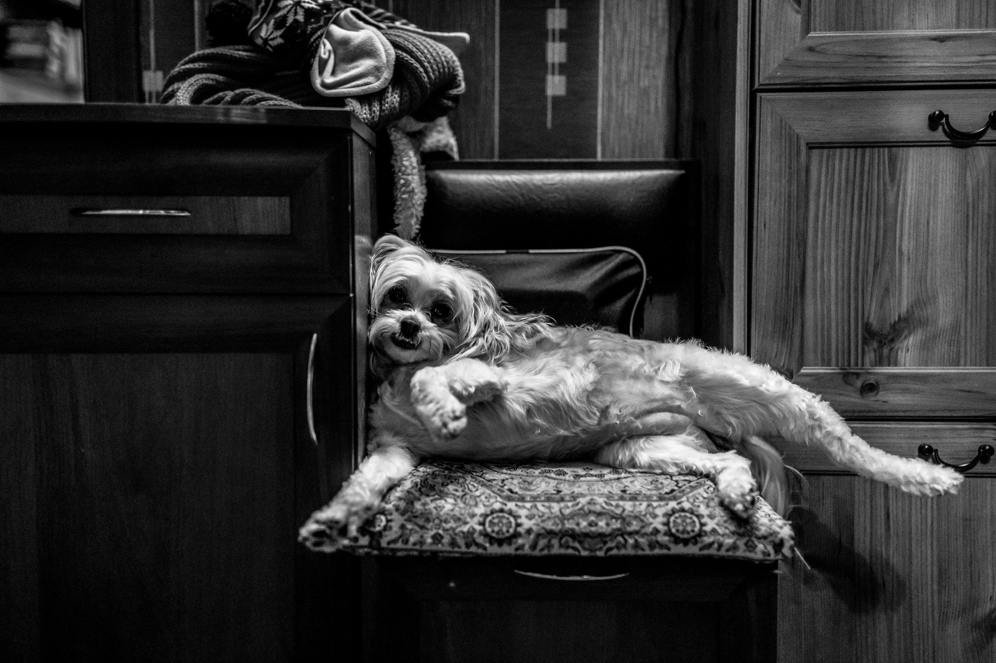 Один день. Даня. 6 лет