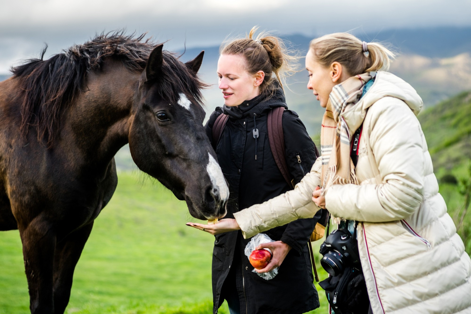 Фототур в Грузию, апрель 2017 и 2018