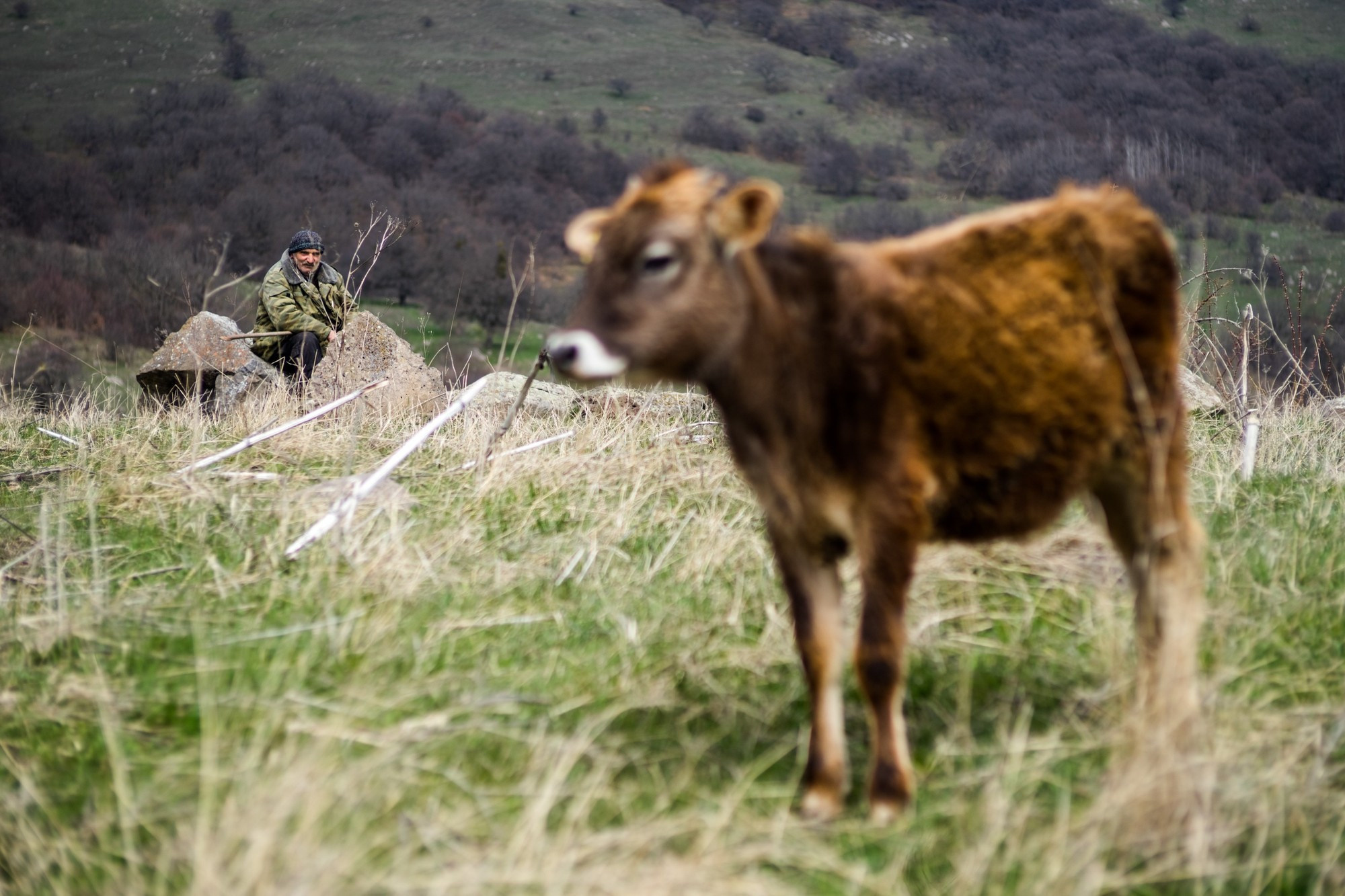 Фототур в Грузию, апрель 2017 и 2018
