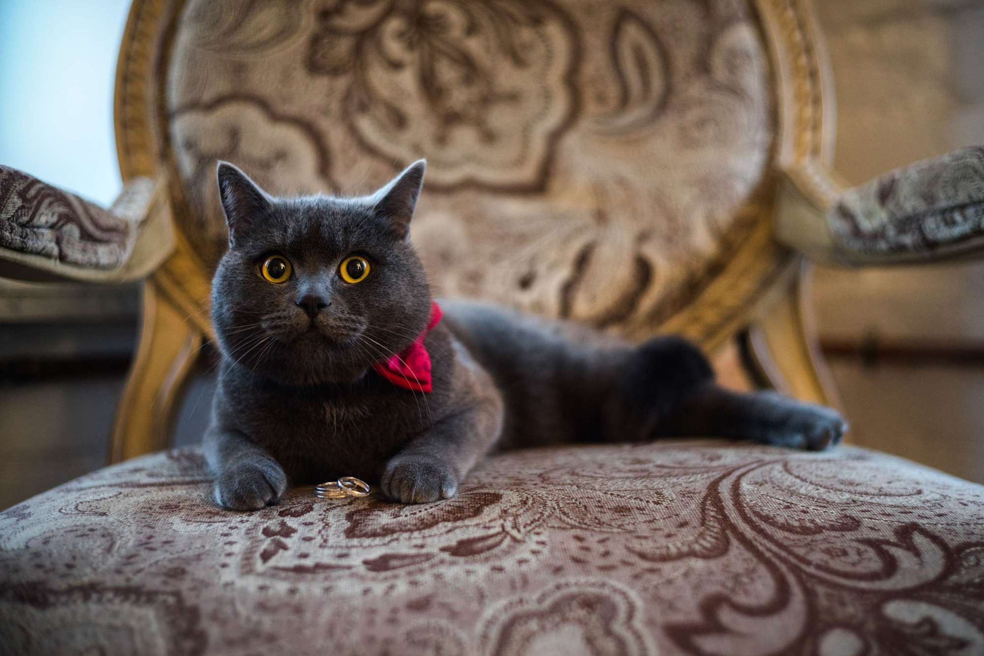 Марат и Нина, Санкт-Петербург, Россия