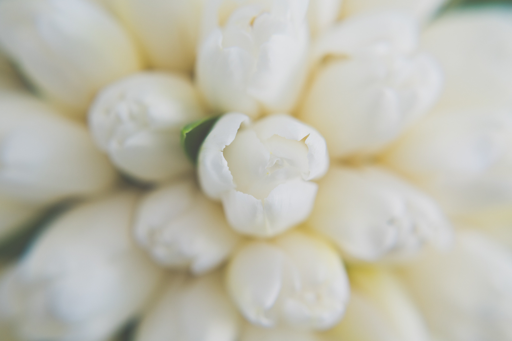 Вера и Андрей, Санторини, Греция