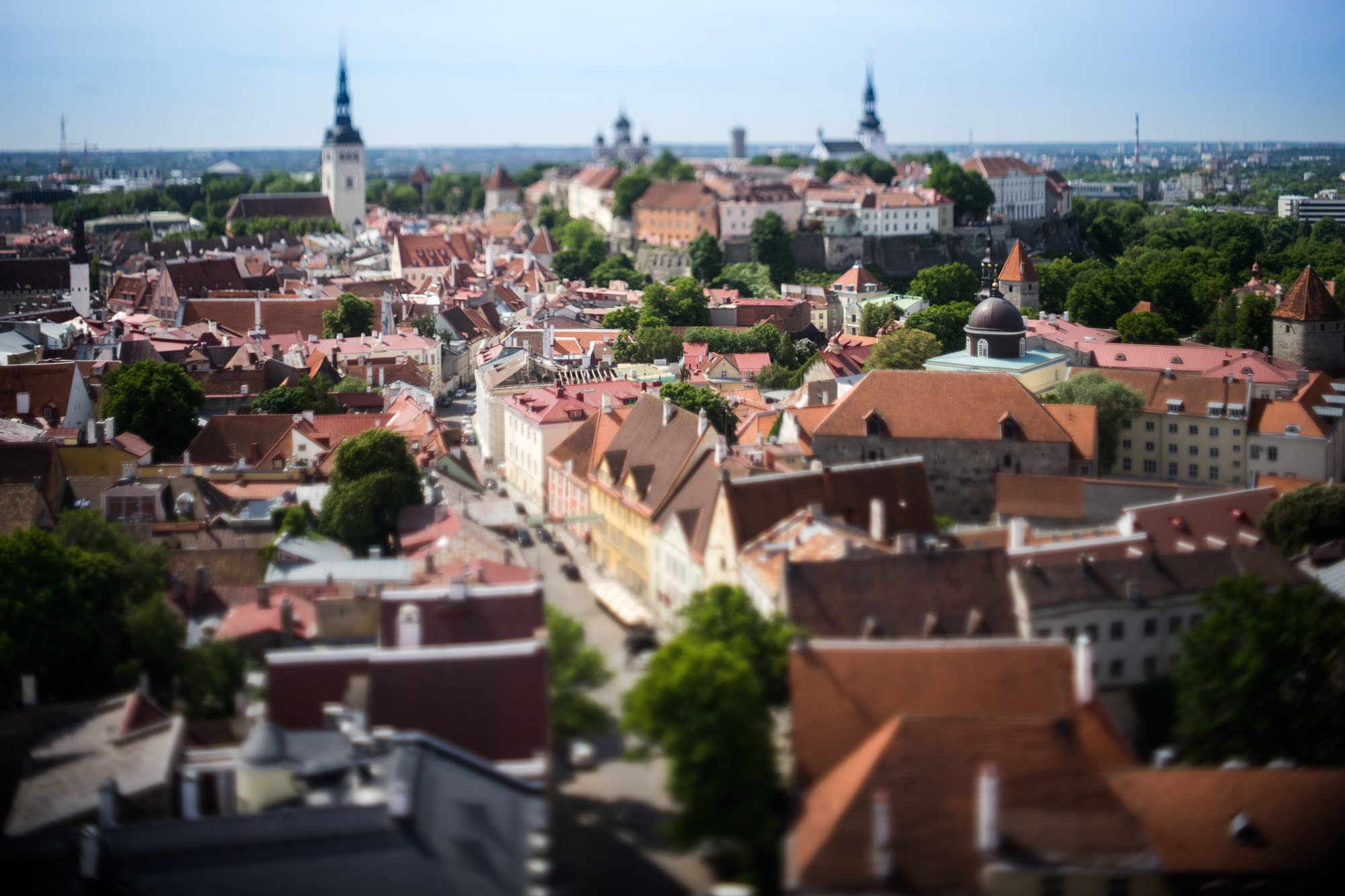Маша и Андрей, Таллин, Эстония
