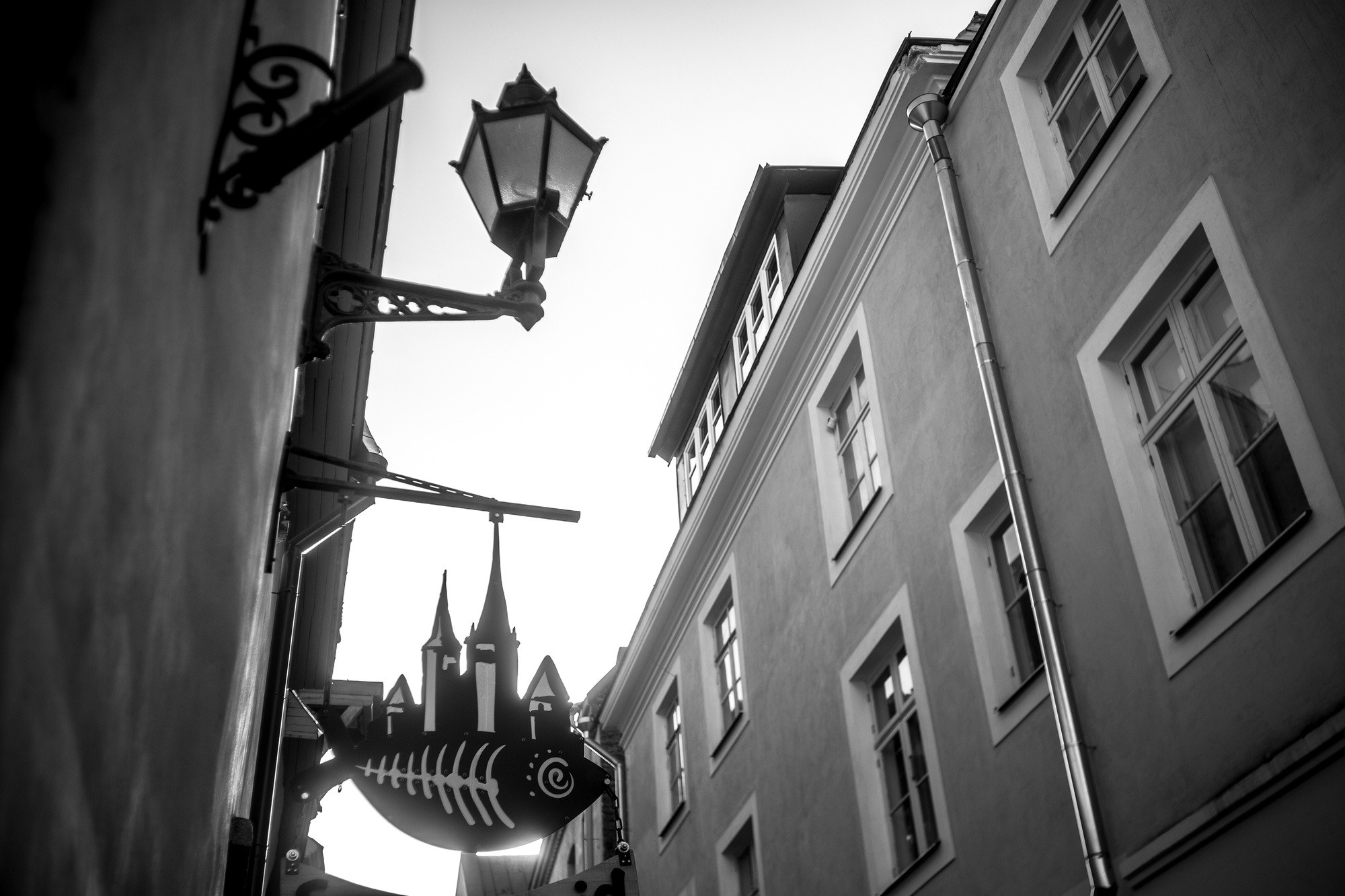 Liin and Matt, Таллин, Эстония