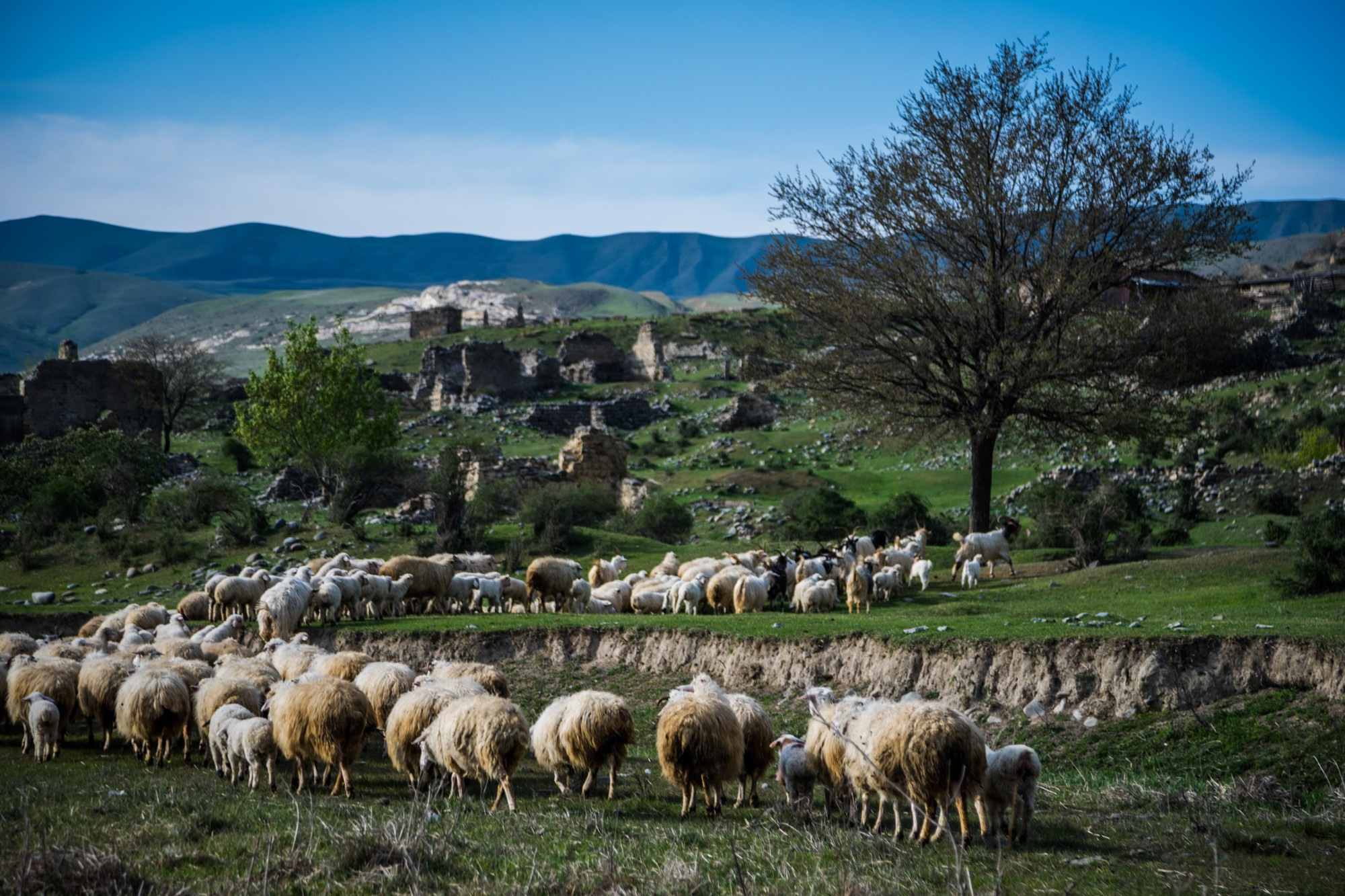Фототур в Грузию, апрель 2017 и 2018
