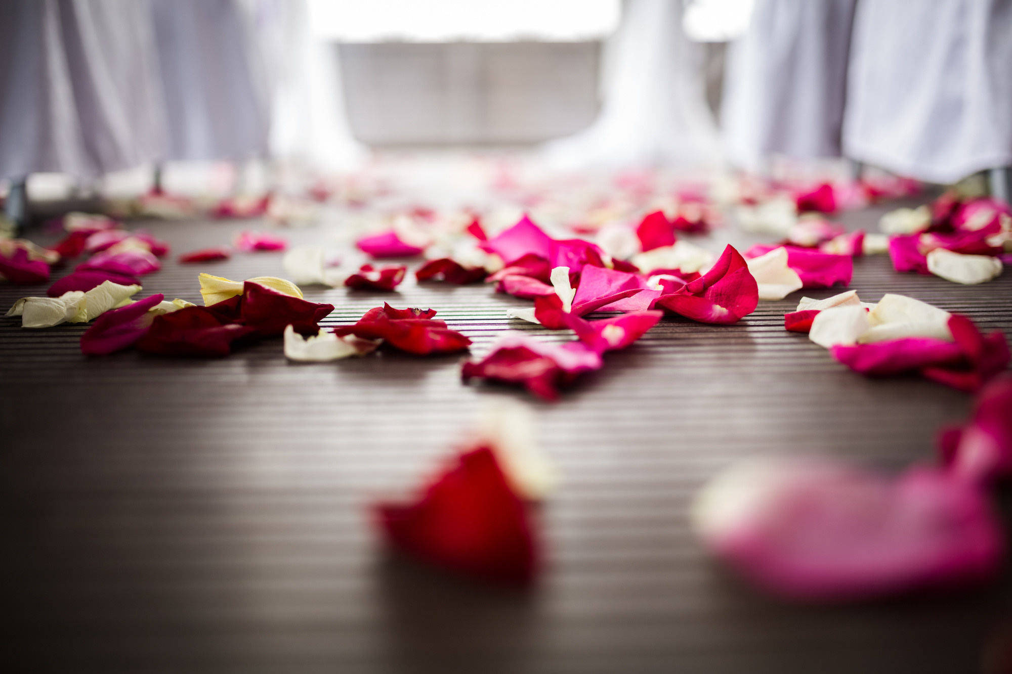 Александр и Кристина, Санкт-Петербург, Россия