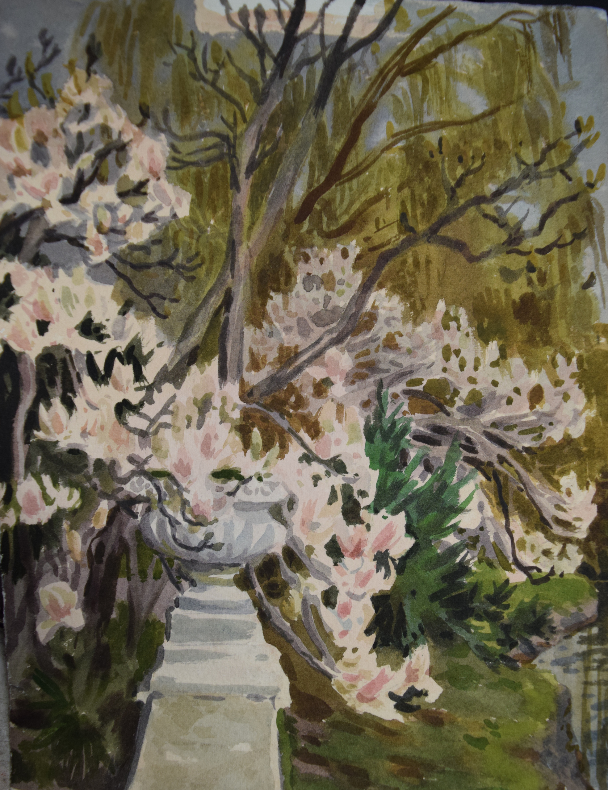 Картина на заказ. Акварель. Подарок. Цветущее дерево. Розовая магнолия. Весна. Сочи. Адлер.