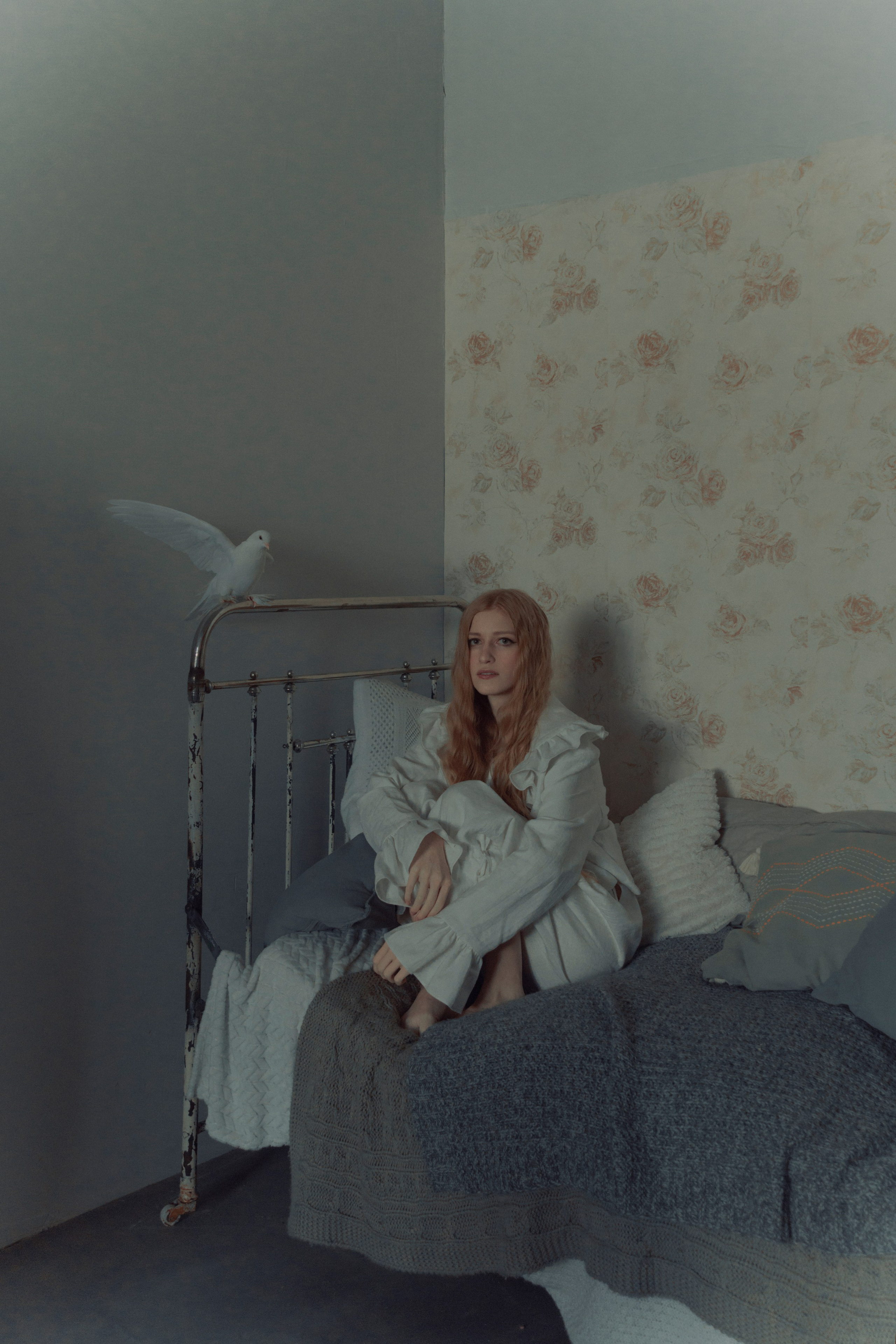 Голубь. Фотограф Anita Mivchas