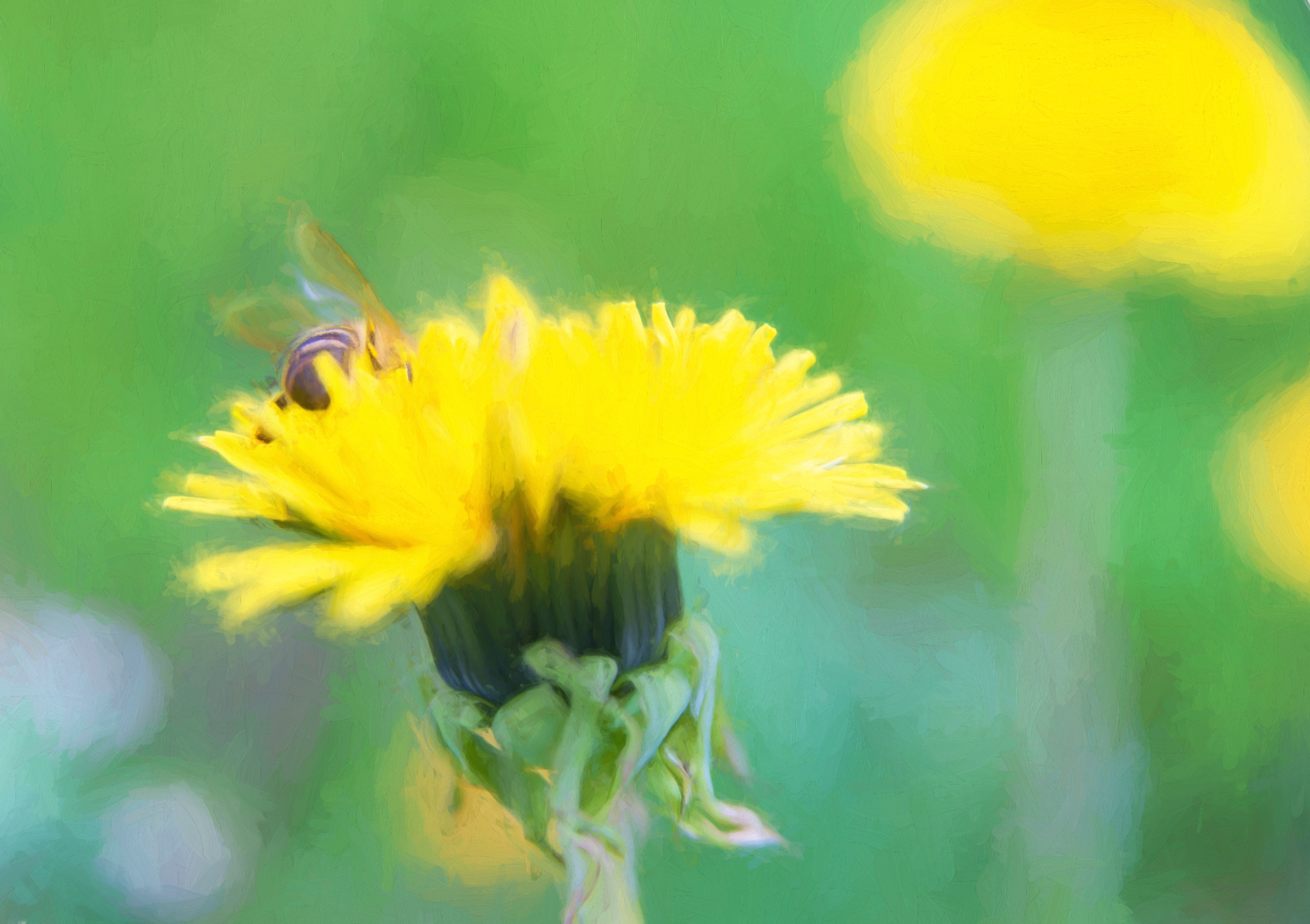 Фотокартины в Гомеле, картины в Гомеле
