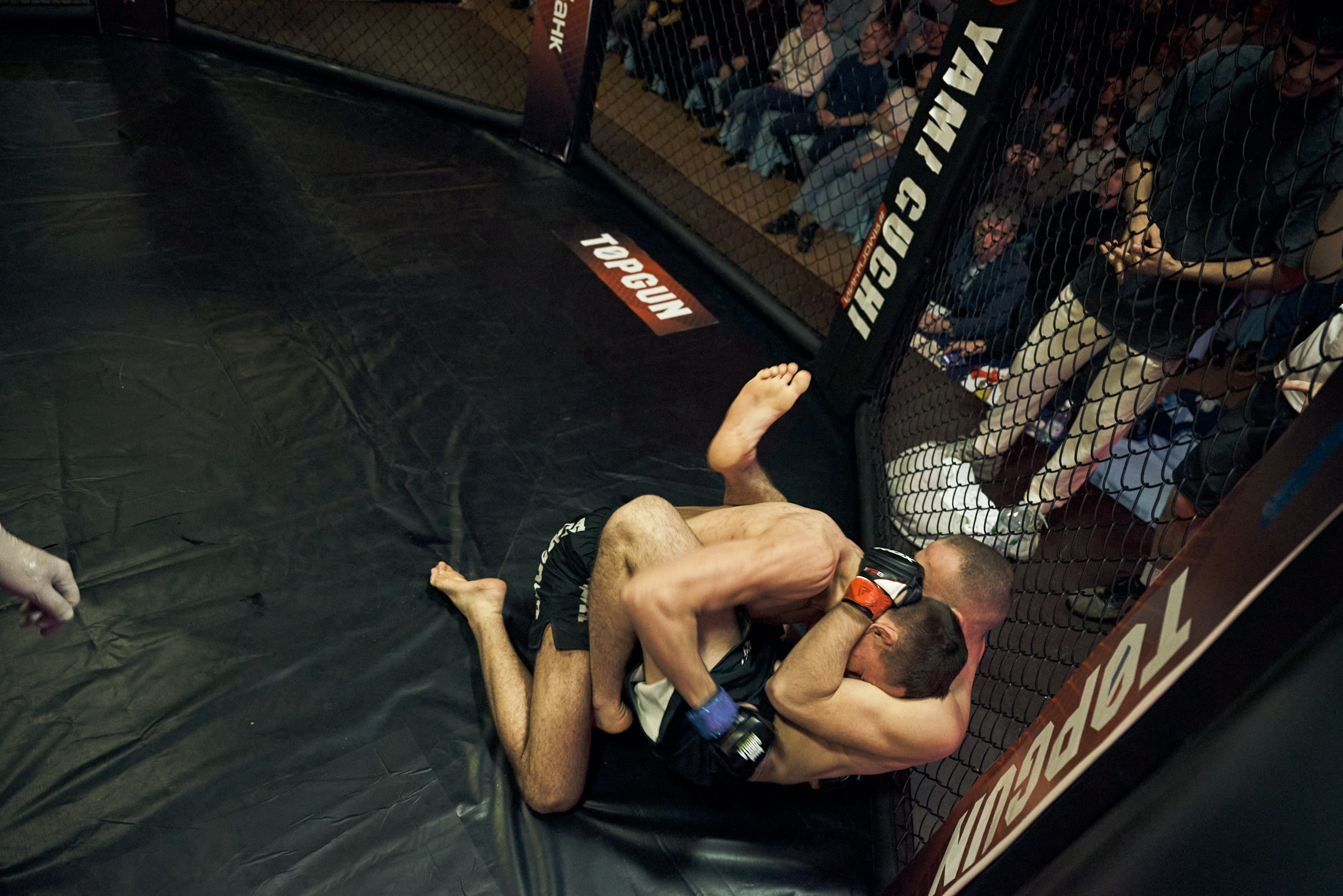 Бои. Маляревич Дмитрий свадебный фотограф