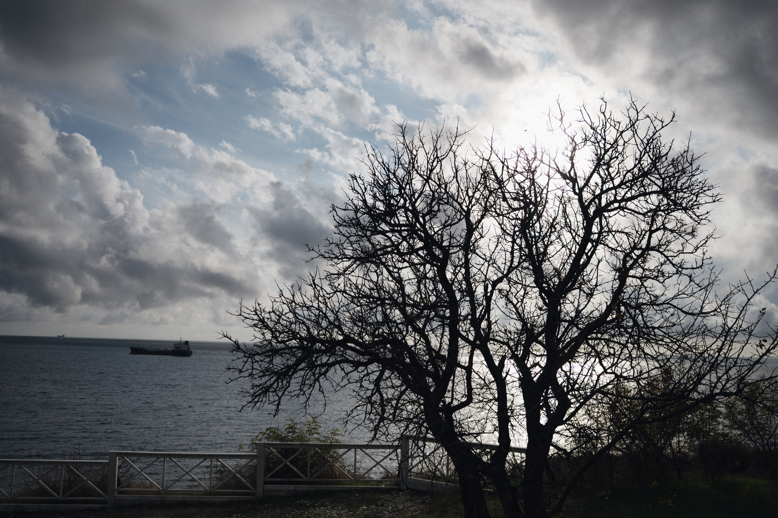 История любви Семёна и Елизаветы. Свадебный и семейный фотограф в Краснодаре Марина Стёпа