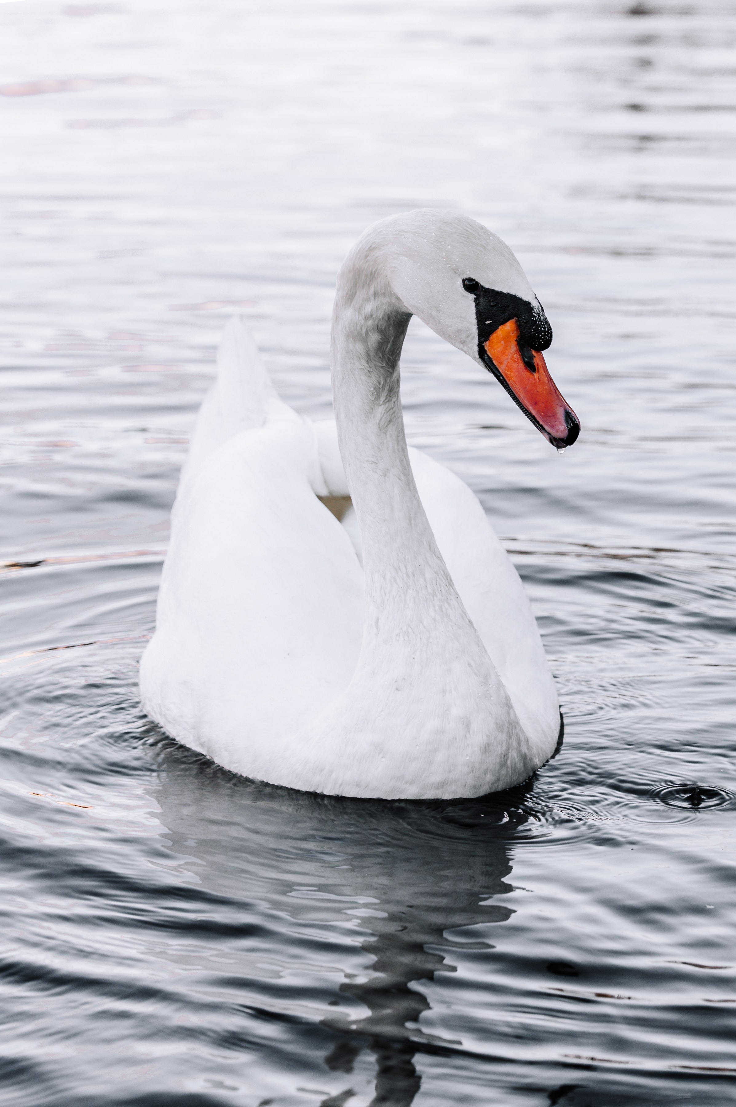 Калининград 2025. Легкая фотография