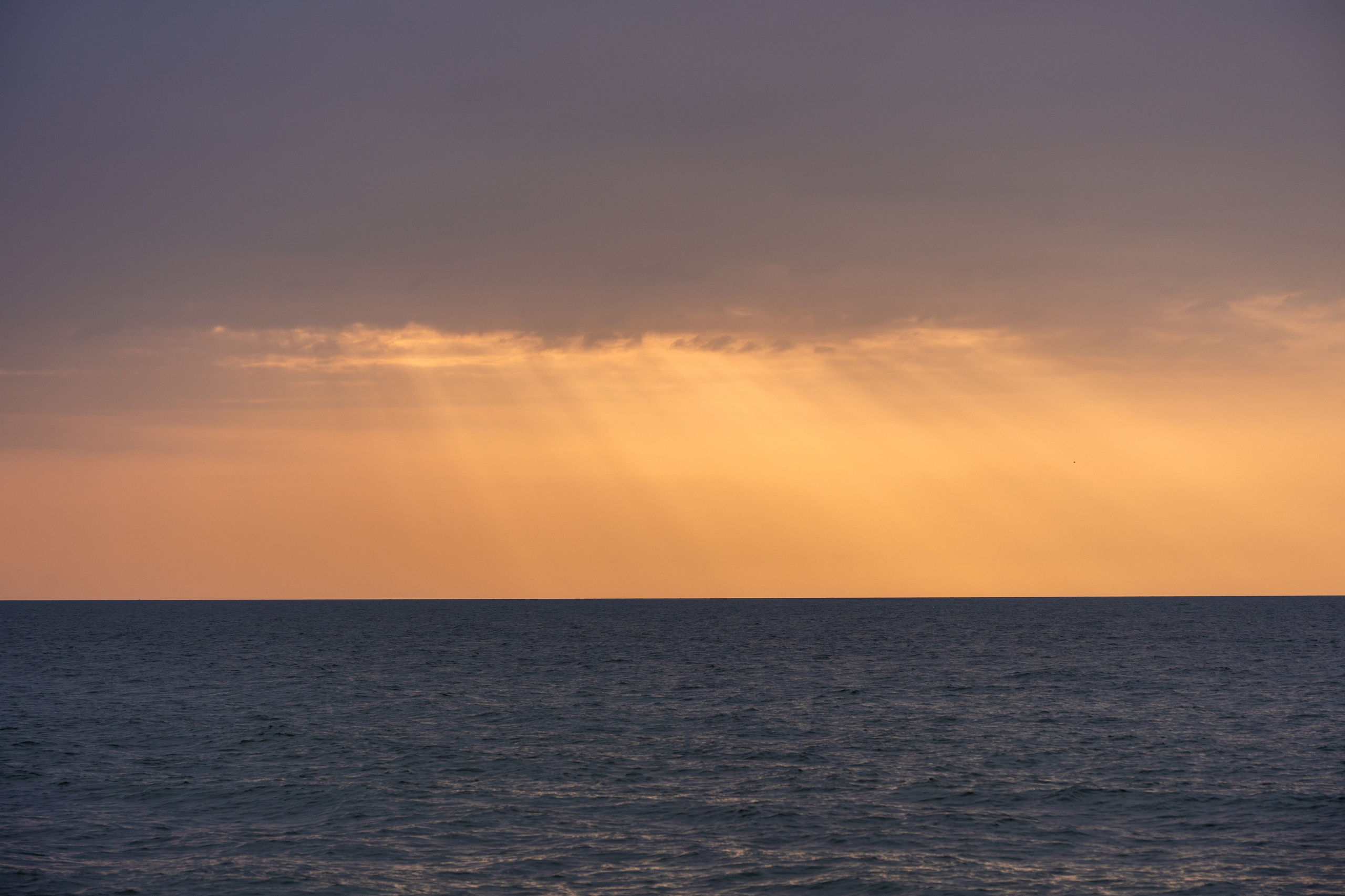 Шри-Ланка 2025. Легкая фотография