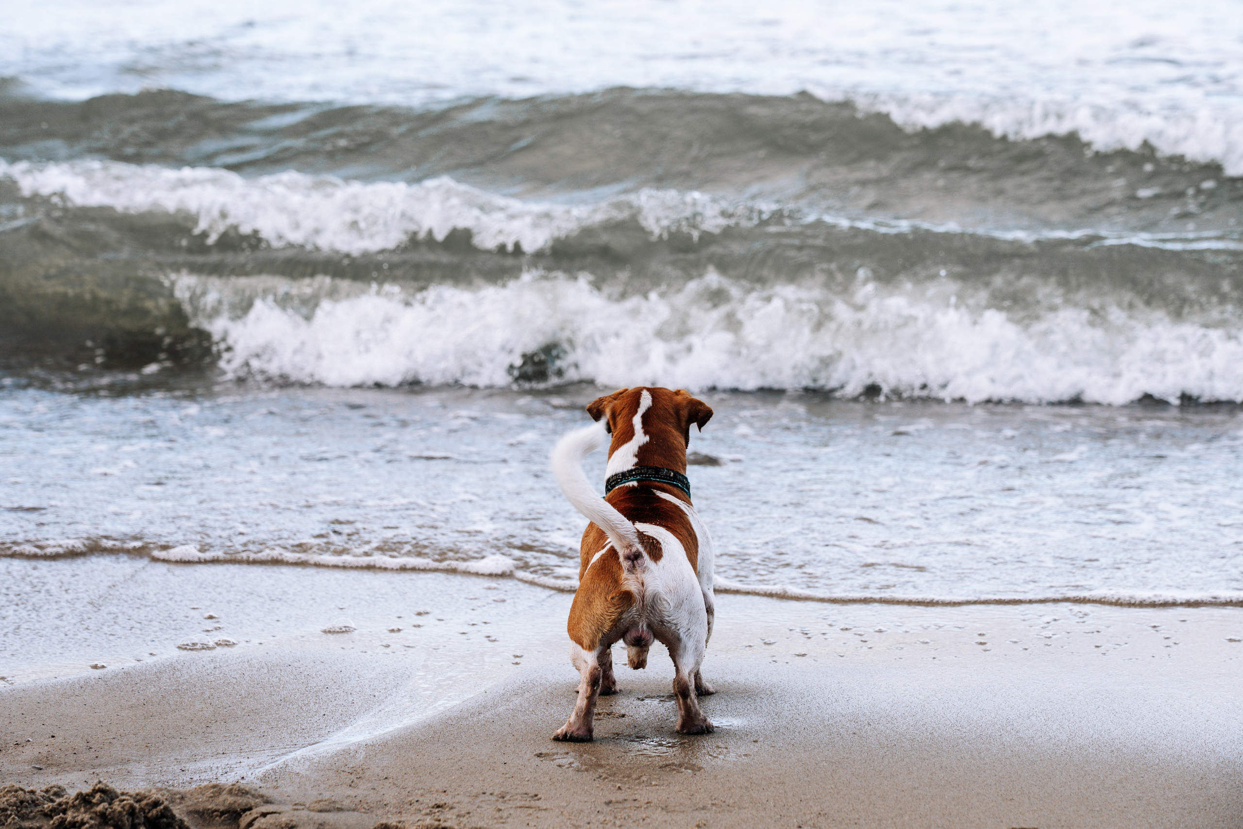 Калининград 2025. Легкая фотография