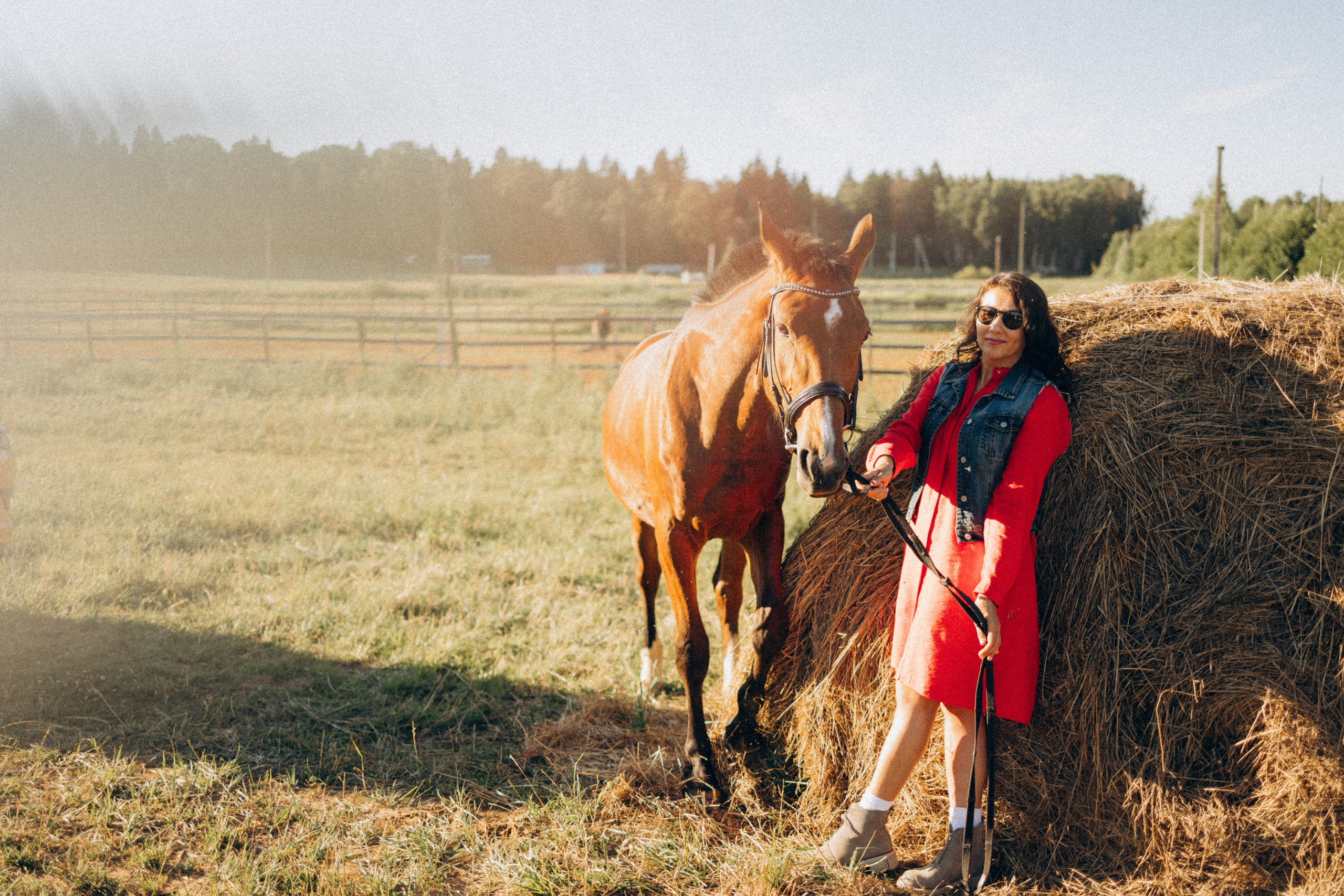 А в деревни лошади. Фотограф Москва Светлана Кирюшина
