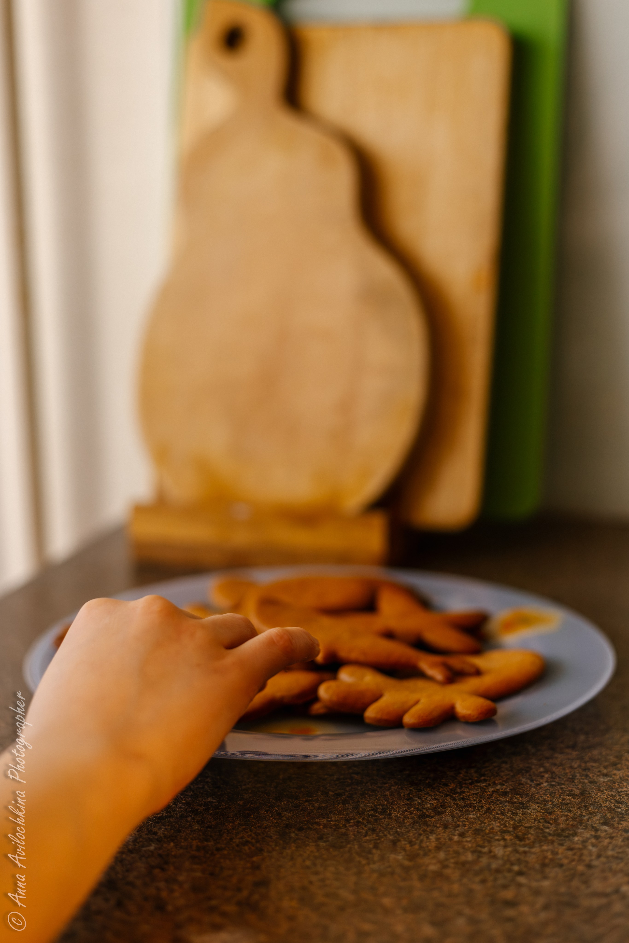 Альбомы семейных фотосессий. Семейный и свадебный фотограф в Москве и Домодедово Анна Авилочкина