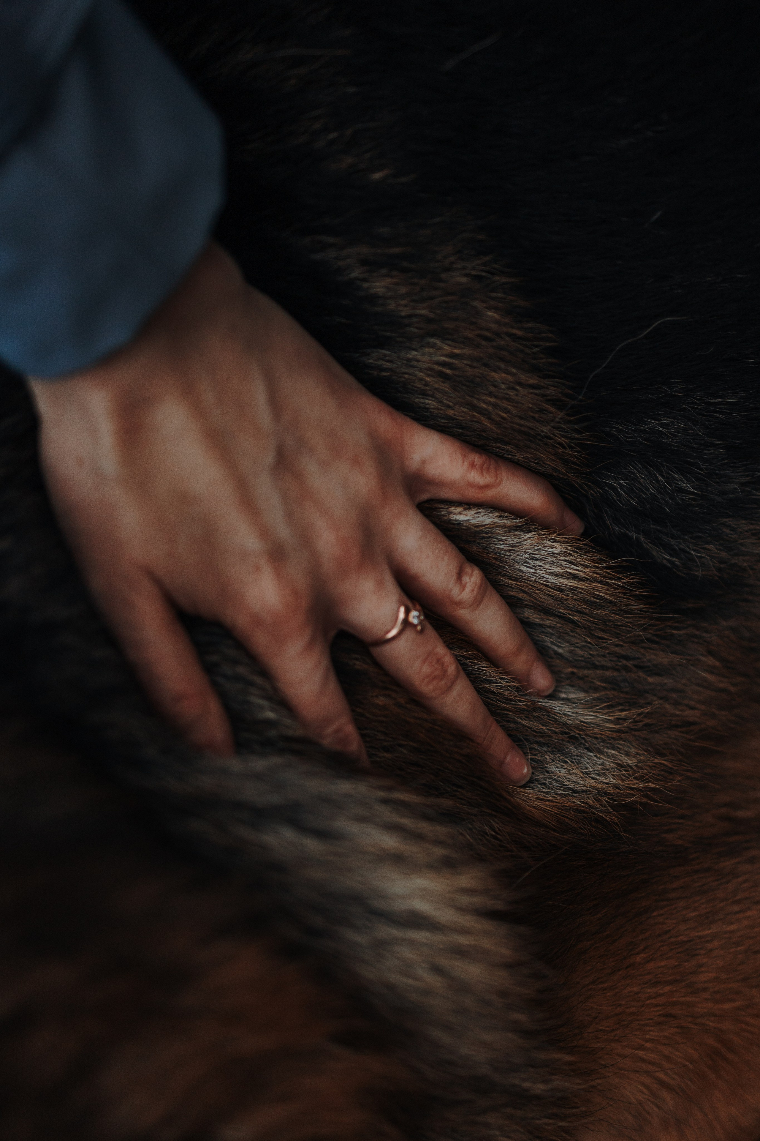 Катя и Агат. Фотограф — Анималист | Санкт-Петербург