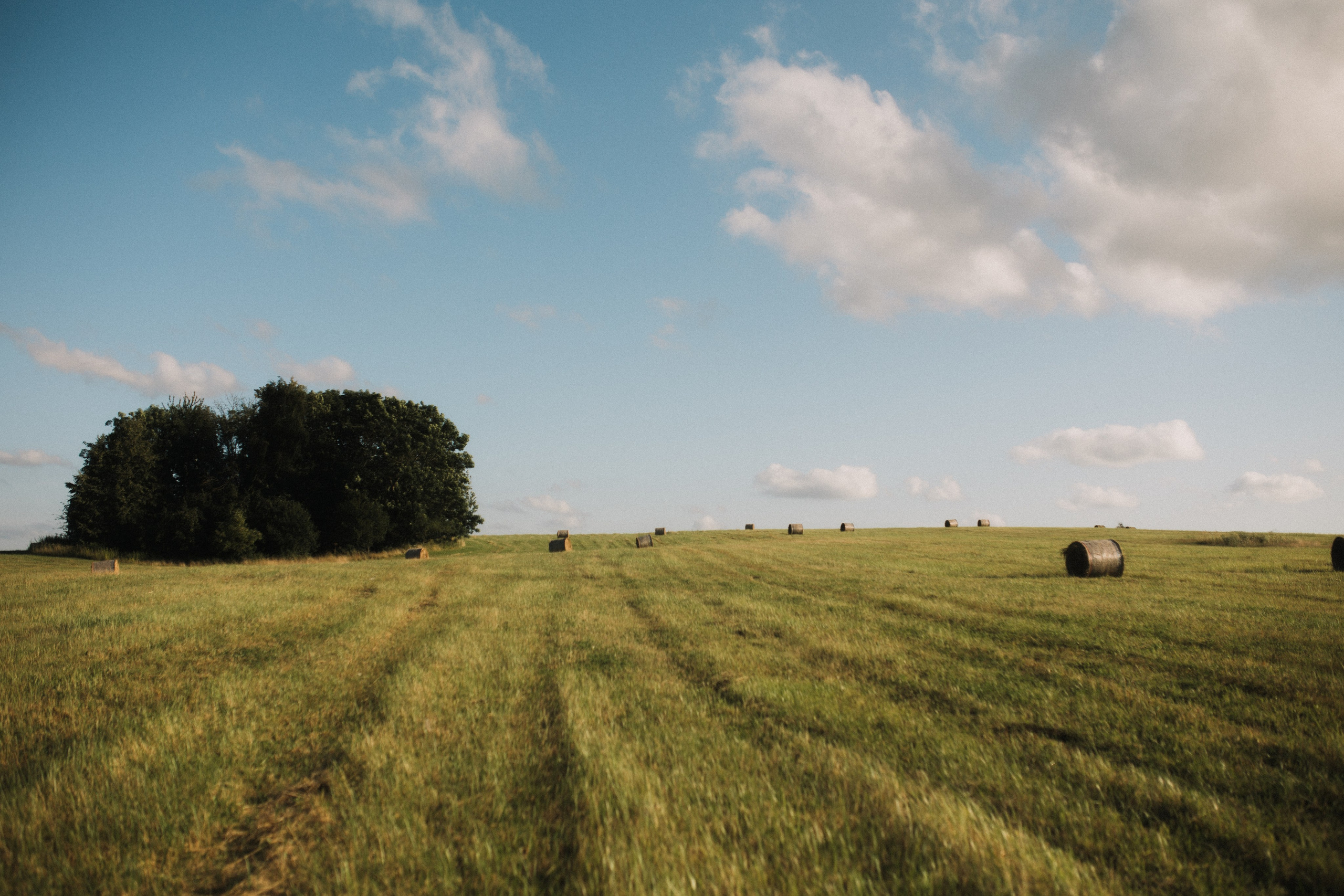Kseniya. Свадебный и портретный фотограф в Калининграде и Москве Марк Юдинцев