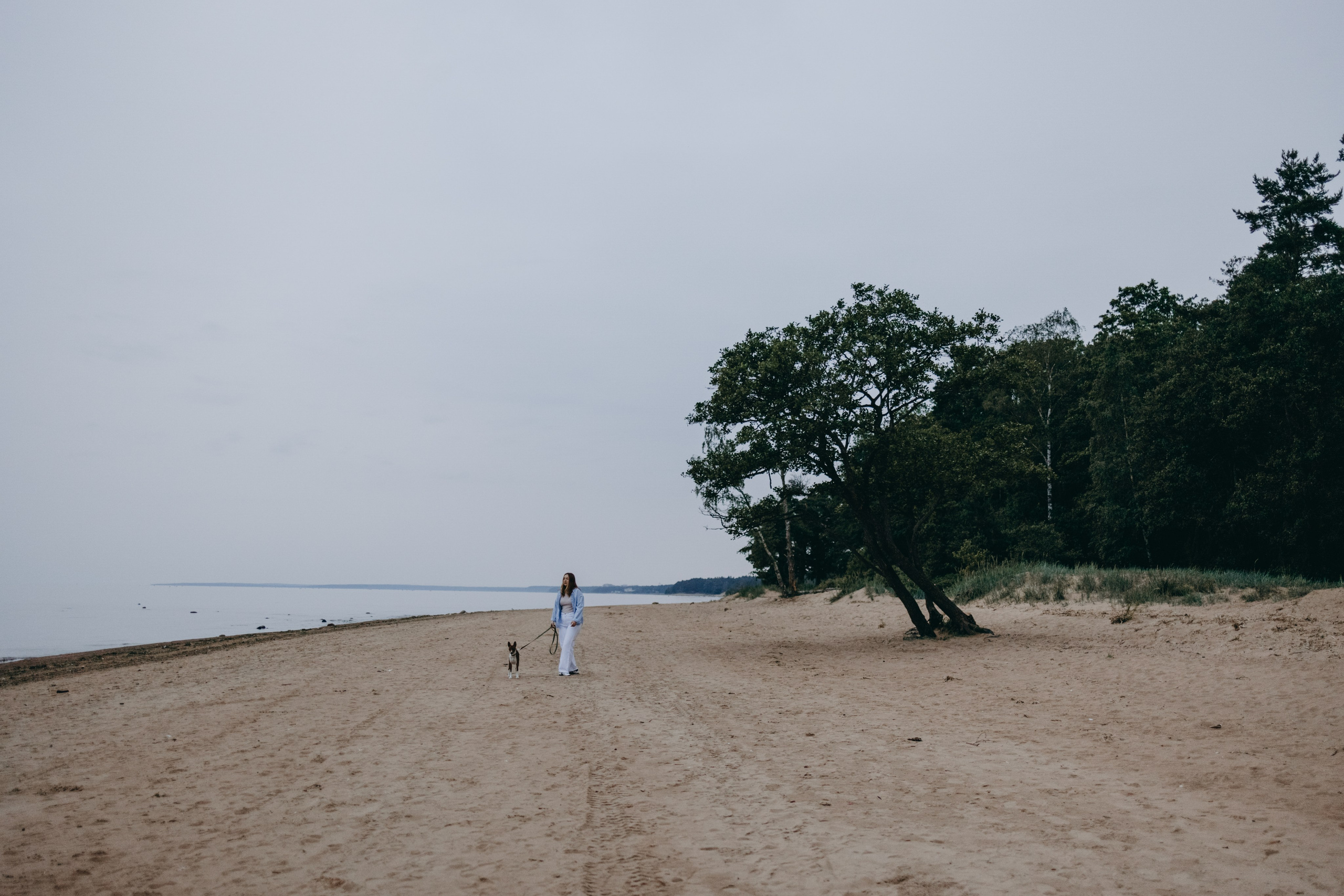 Даша и Арчи. Фотограф — Анималист | Санкт-Петербург