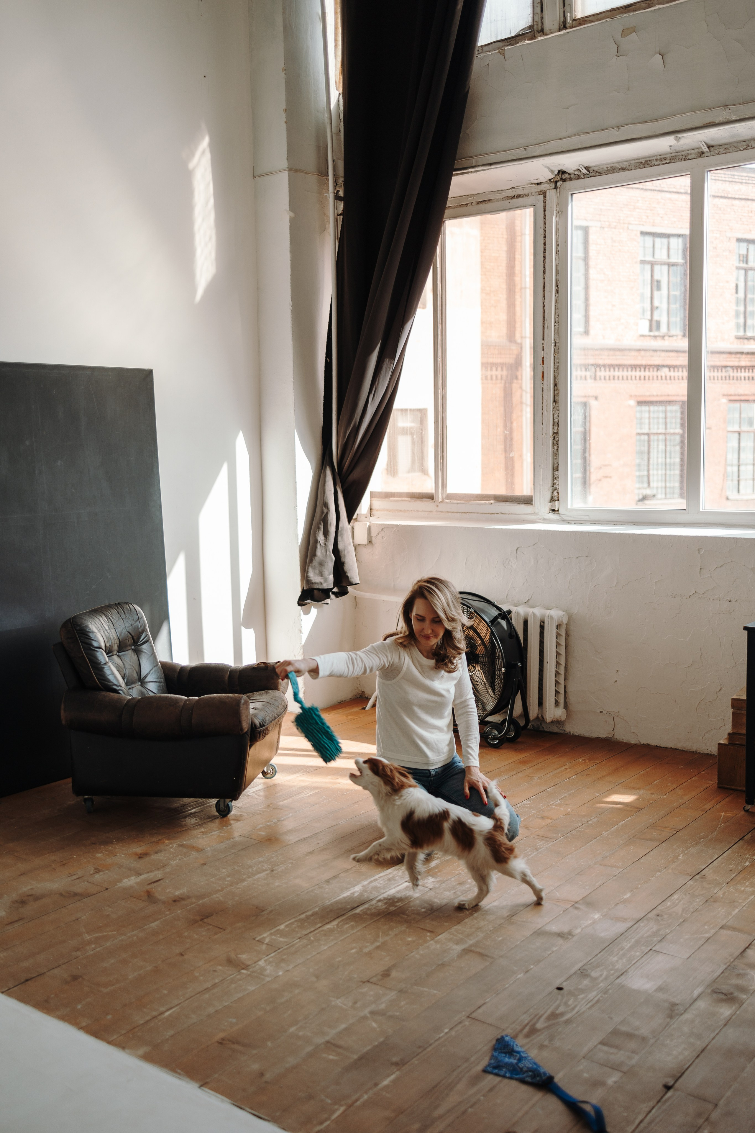 Плуто и его семья. Фотограф — Анималист | Санкт-Петербург