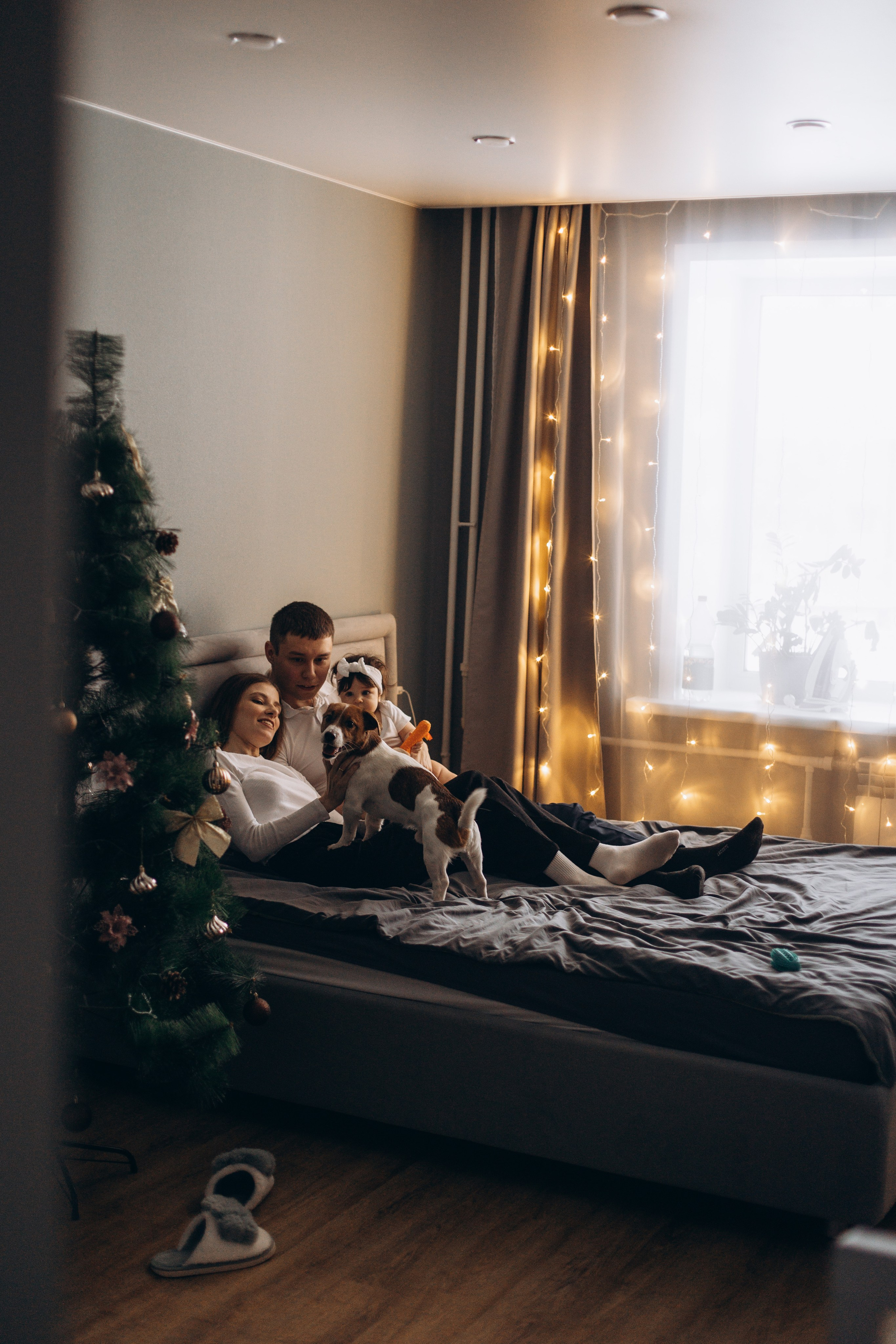 Джой и его семья. Фотограф — Анималист | Санкт-Петербург