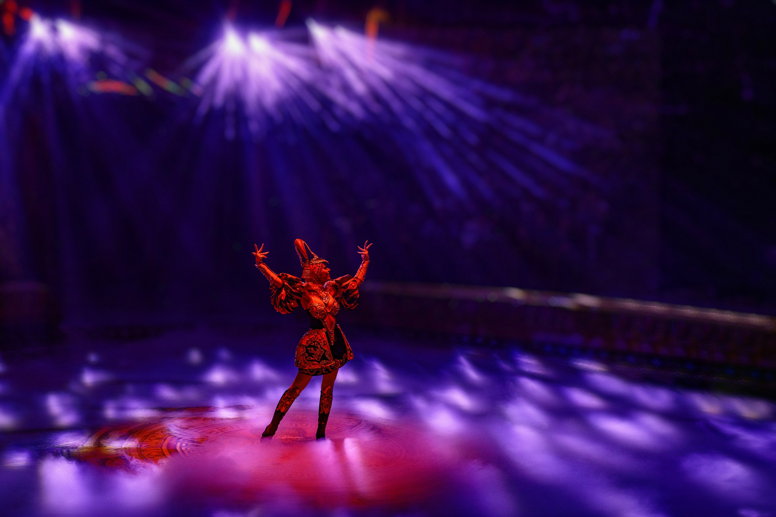 Цирк фото с представлений. Арт фотограф в Саратове, Александр Леонтьев