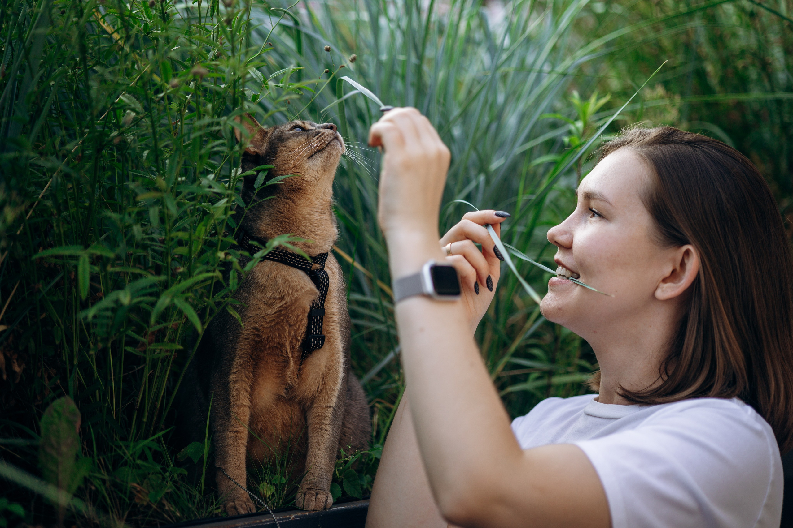 Циско и его семья. Фотограф — Анималист | Санкт-Петербург
