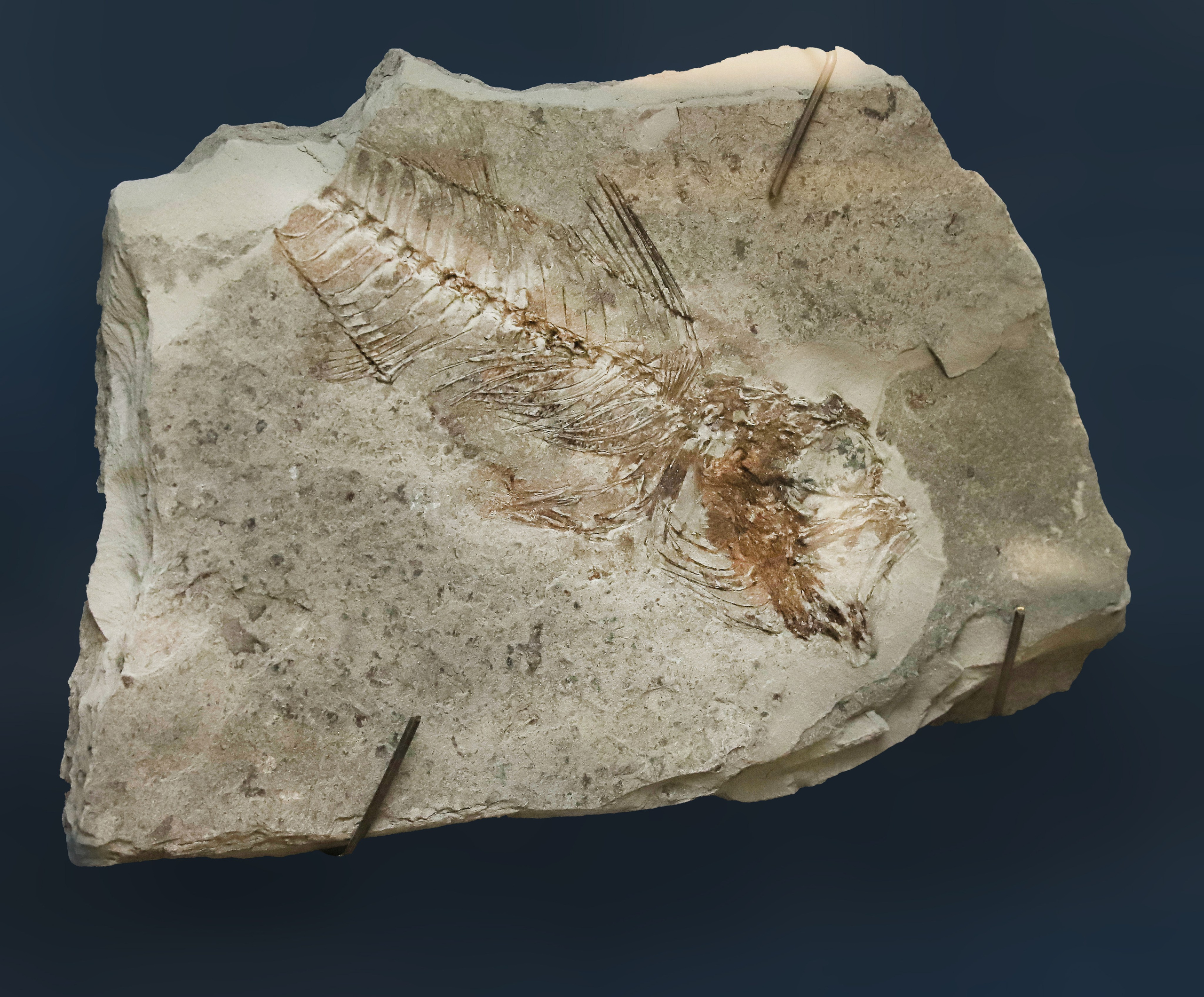 Каменная летопись. Фотограф Юлия Маринина