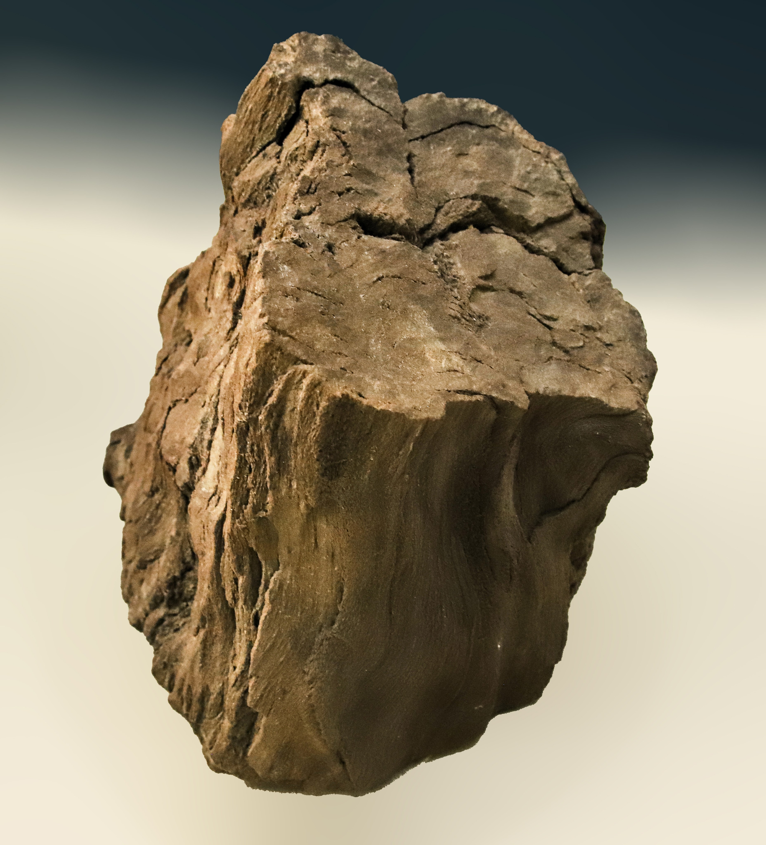 Каменная летопись. Фотограф Юлия Маринина