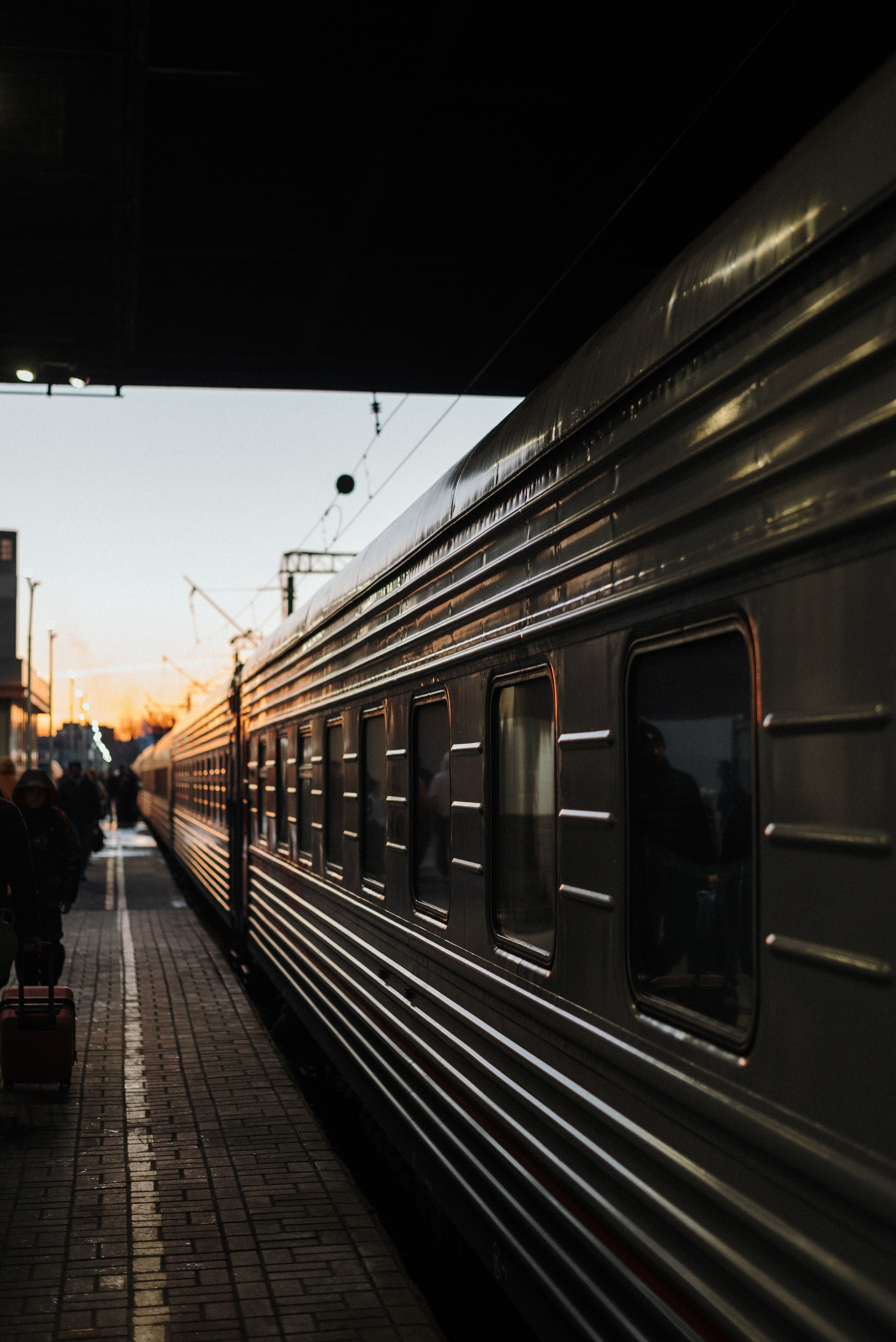 Mary & Busya’s first meeting. Natalia Finch Photography — Family, Kids & Pet Photographer in Chicago, IL