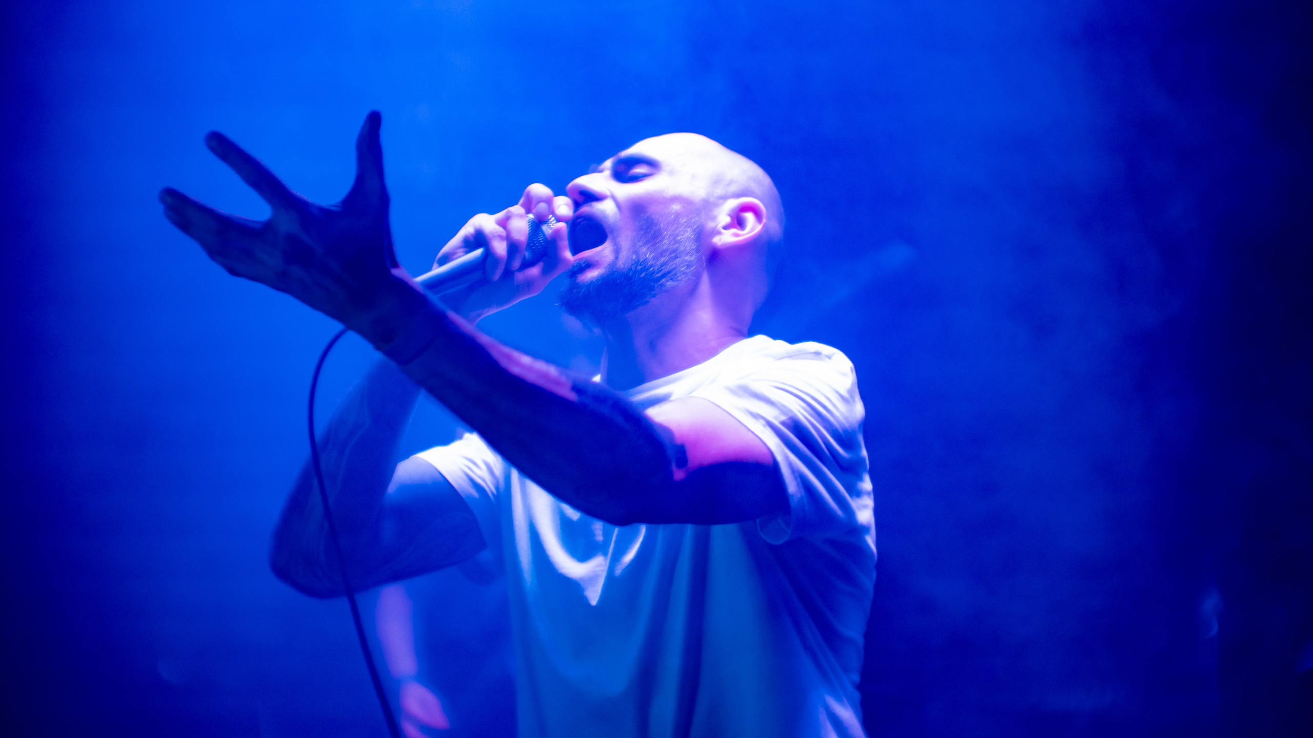 Тща / Отшельник / THE PIT / GNOM в Мотыге 17.05.25. Szczur photo