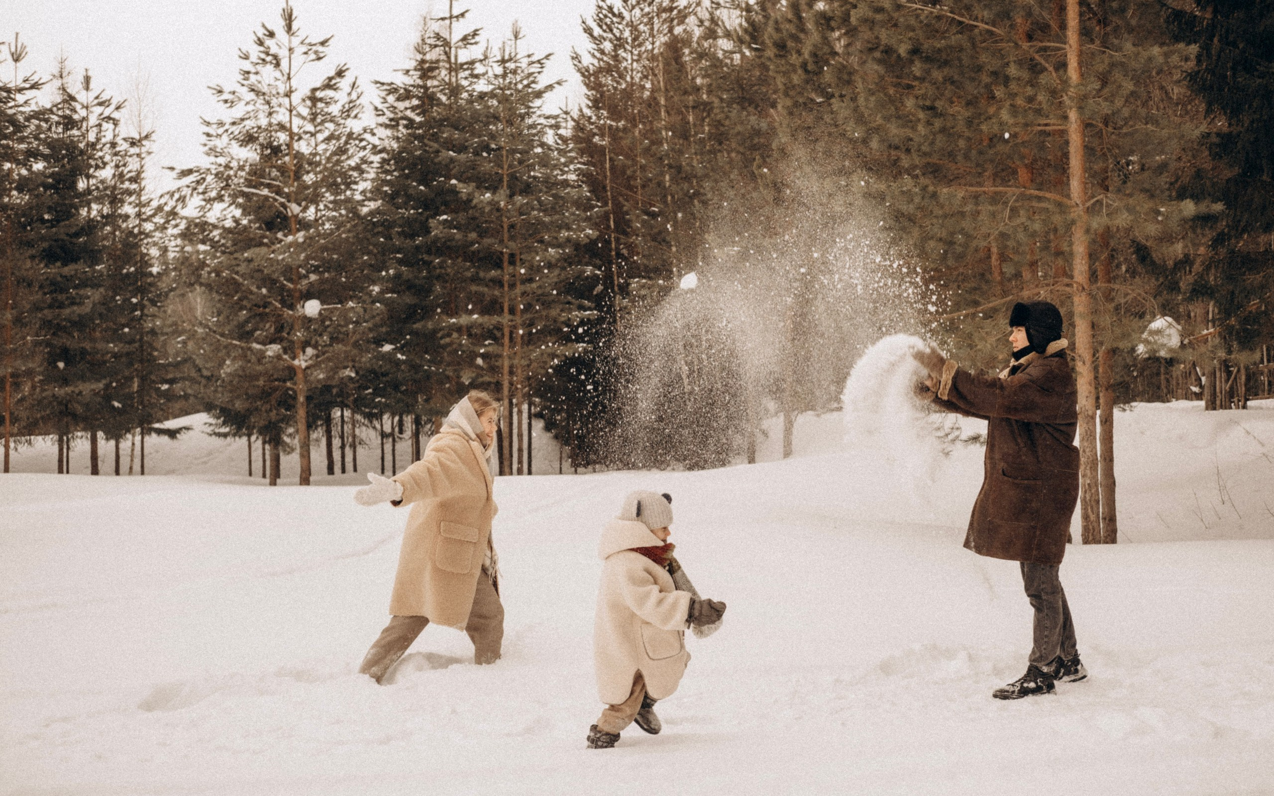 Зимняя история. Главная