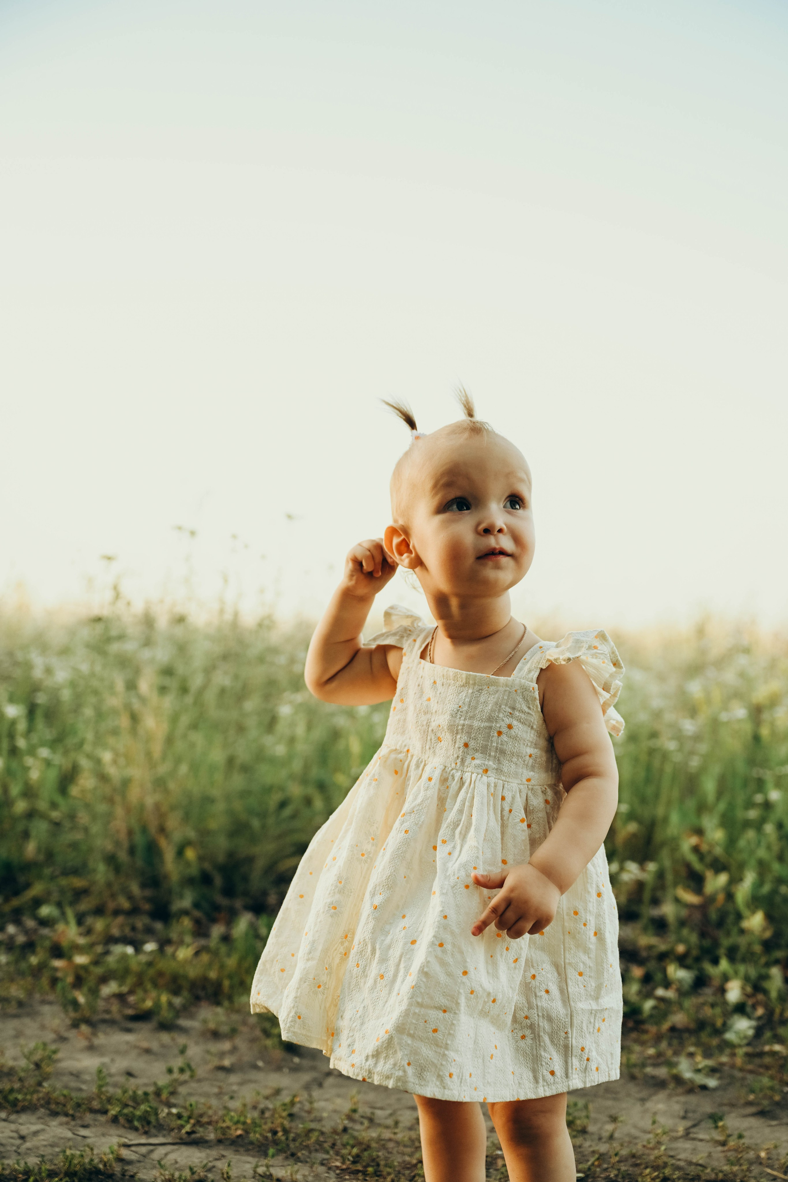 Ромашковое поле. Семейный фотограф в Москве Люберцах Ирина Вронская