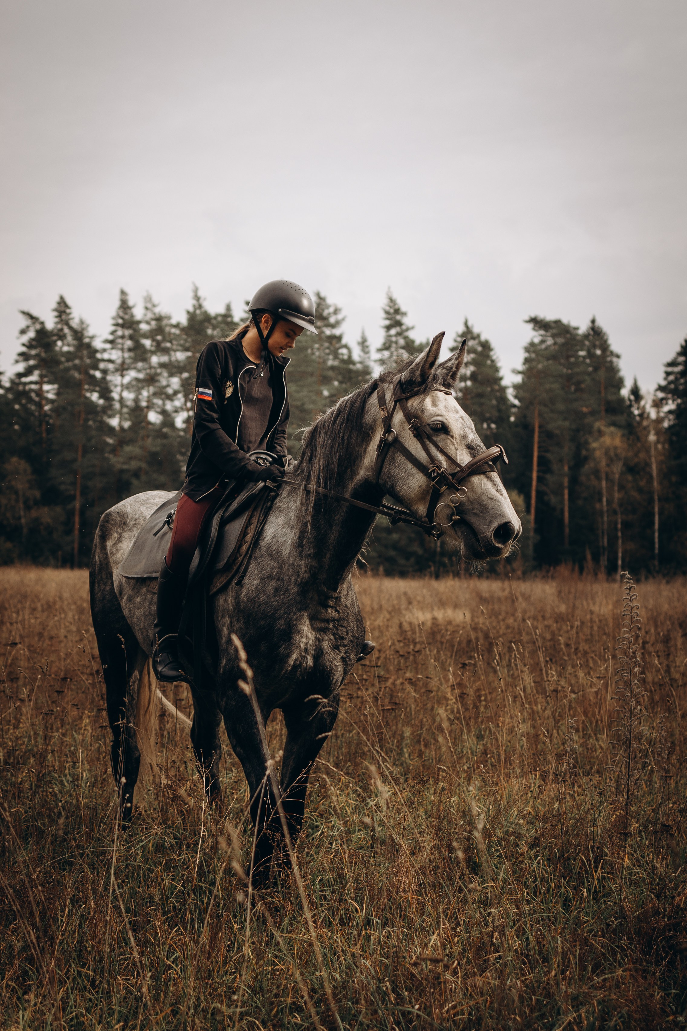 Лошади. Ваш фотограф в Москве и области Юлия