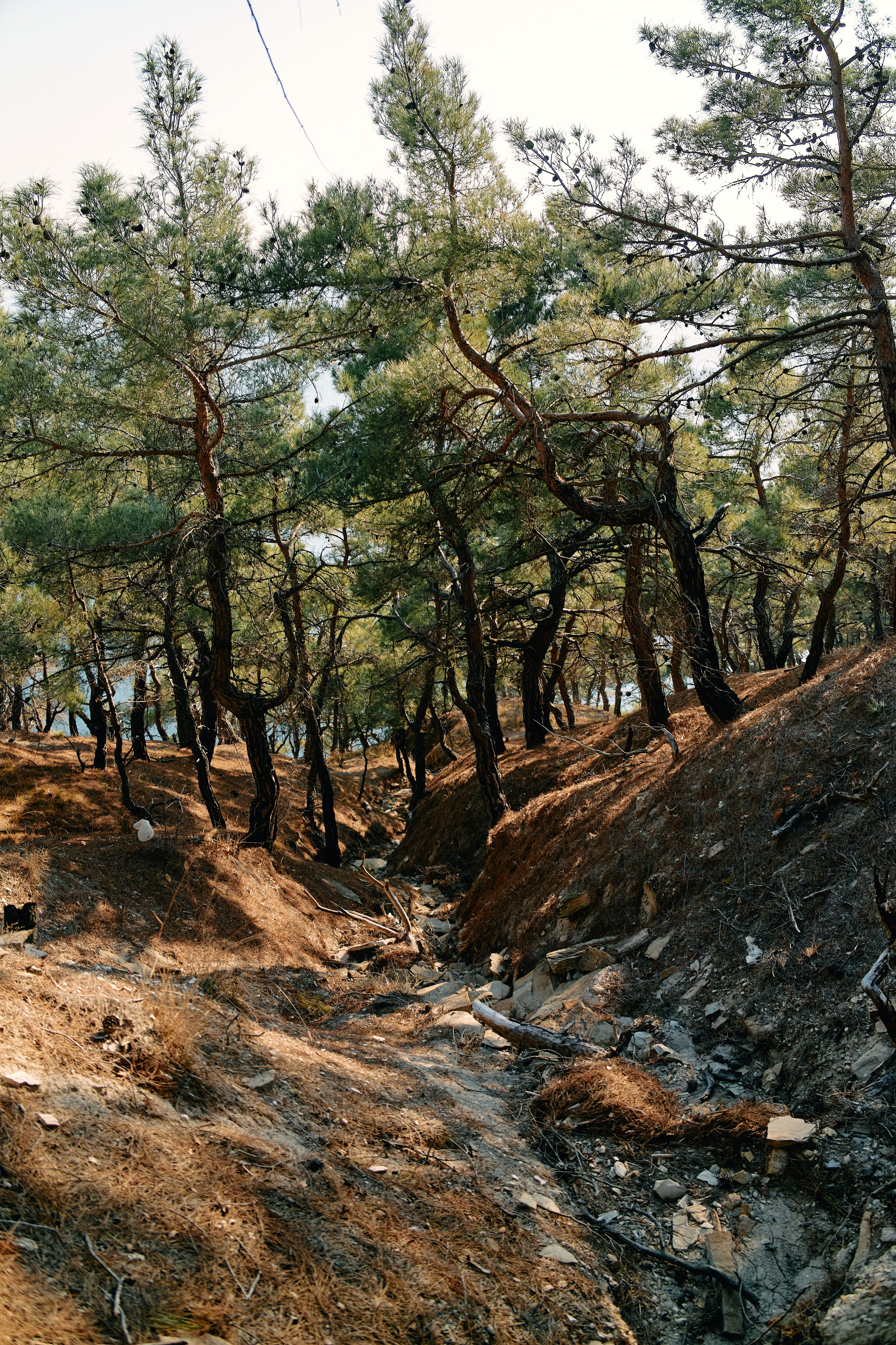Юг России. Профессиональный Фотограф во Владимире, в Москве и в Суздале — Полина Романычева