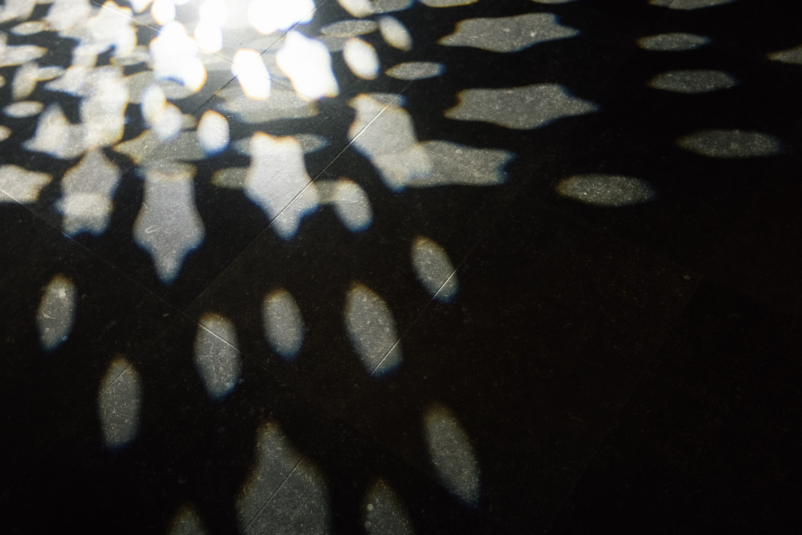 Maksim & Rita. Фотограф в Томске Ирина Павлуцкая