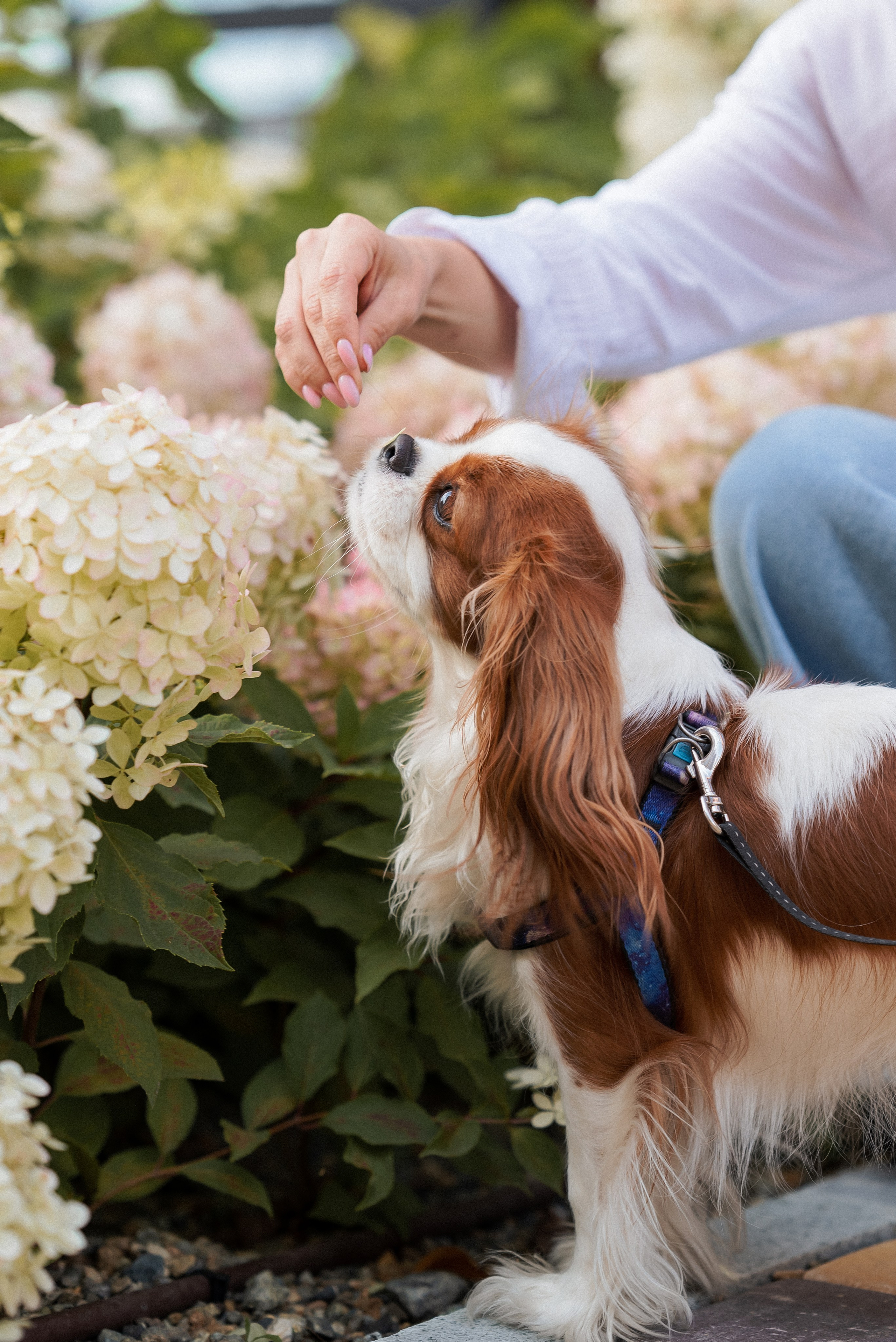 Галина. Семейный и детский фотограф в Екатеринбурге Валерия Нагибина
