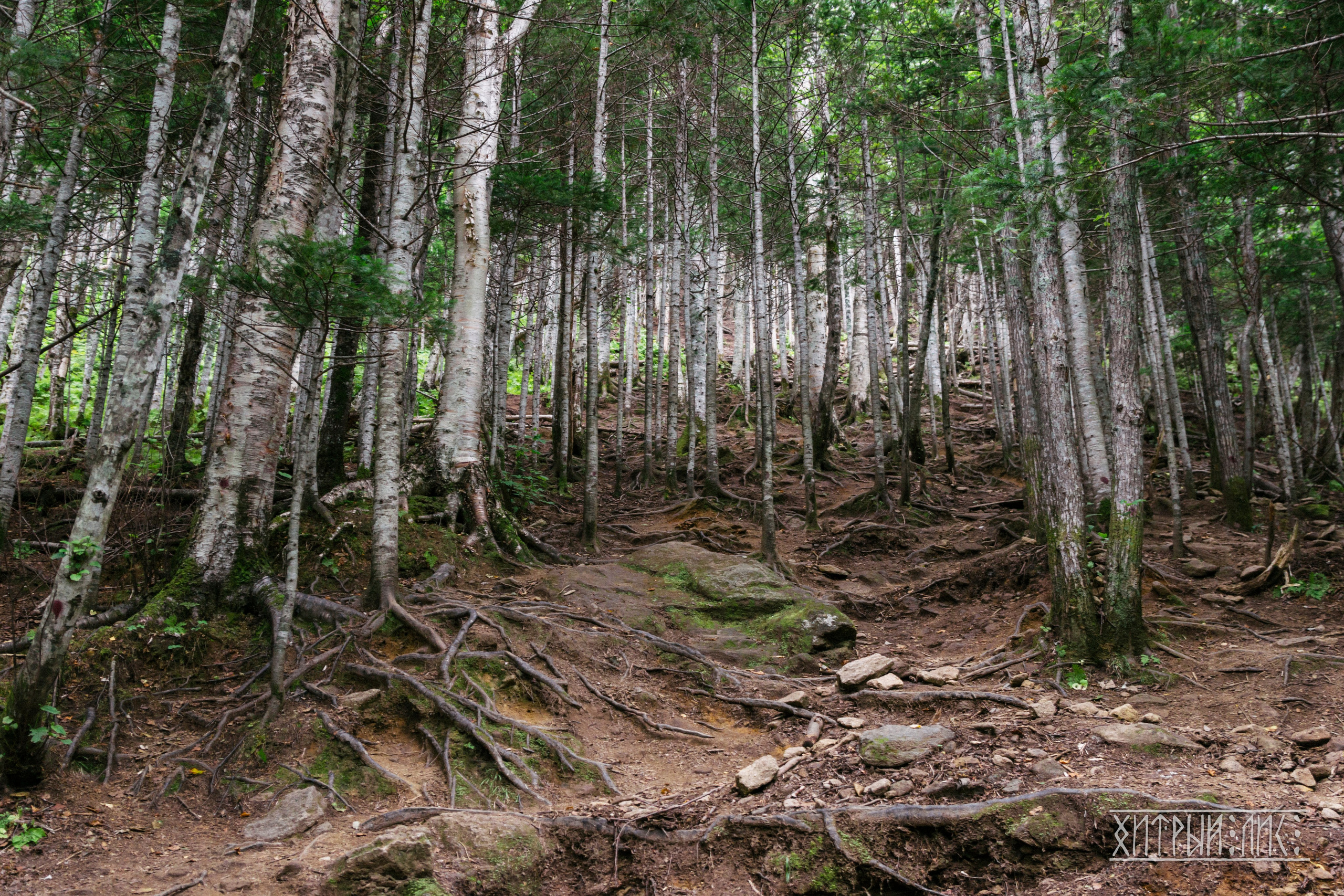 Сахалин. Фотограф-путешественник Самойлов Максим «Sly Fox»