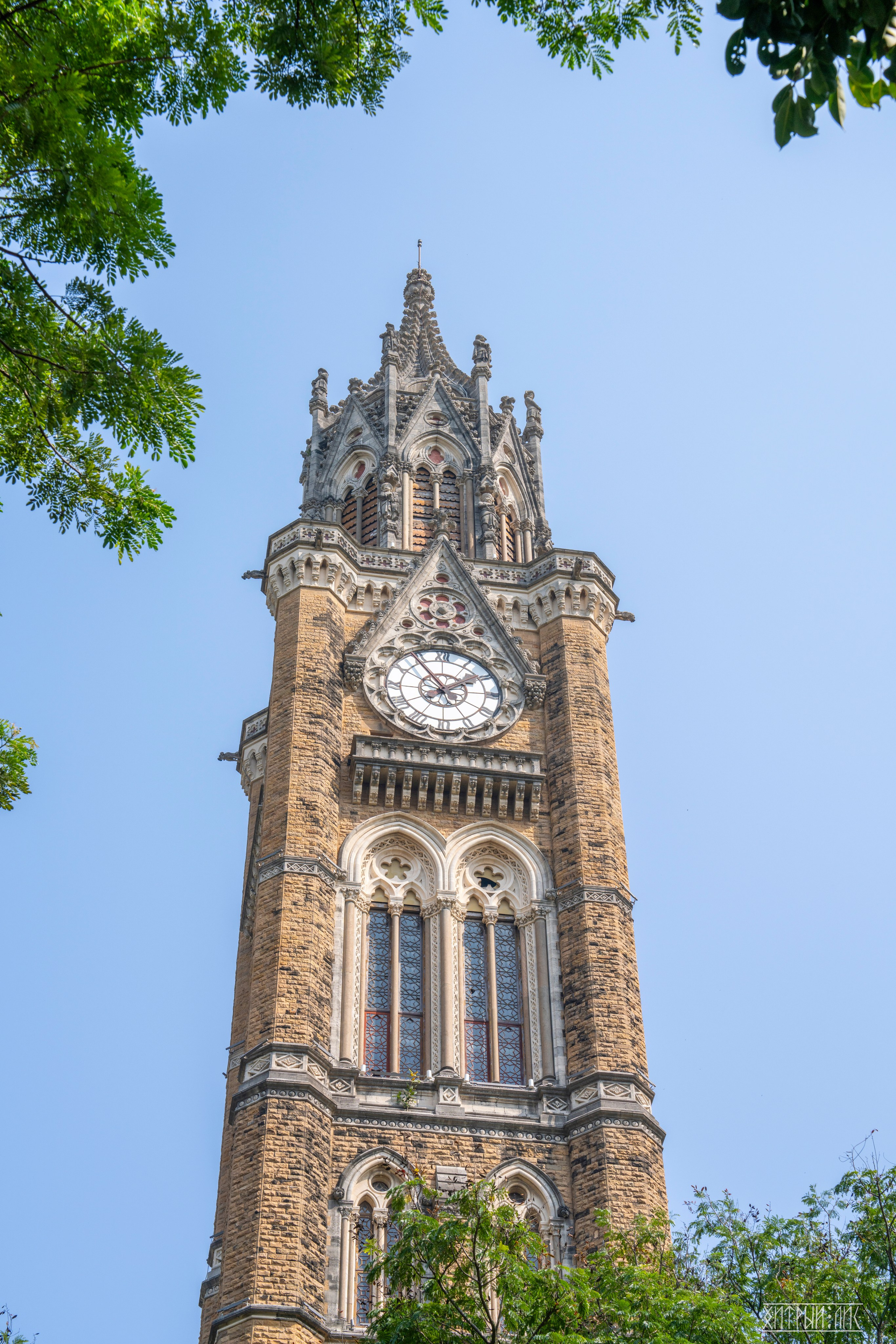 Гоа-Мумбаи. Фотограф-путешественник Самойлов Максим «Sly Fox»