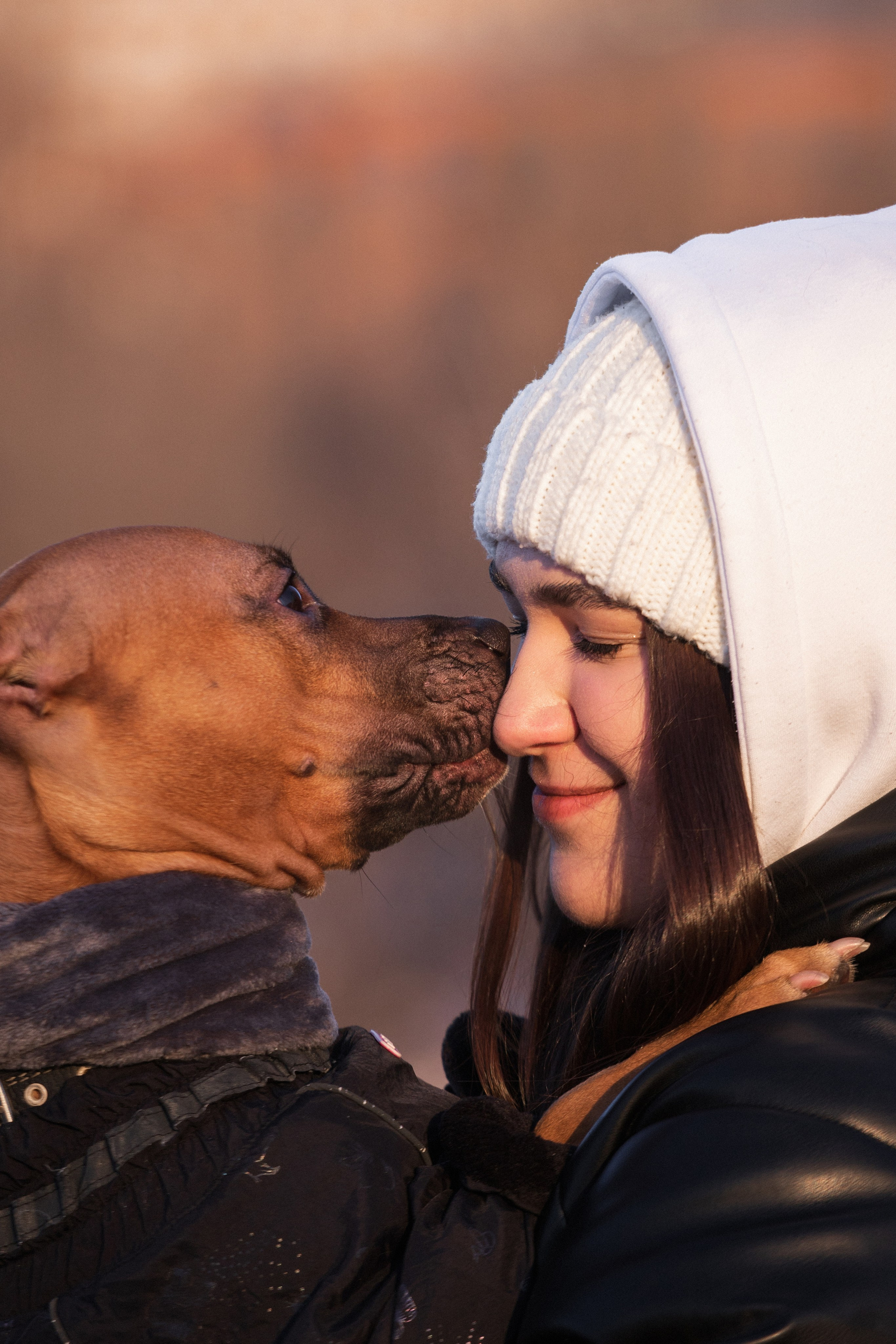 Арина и Стэфи. Фотограф — анималист Владивосток, Алина
